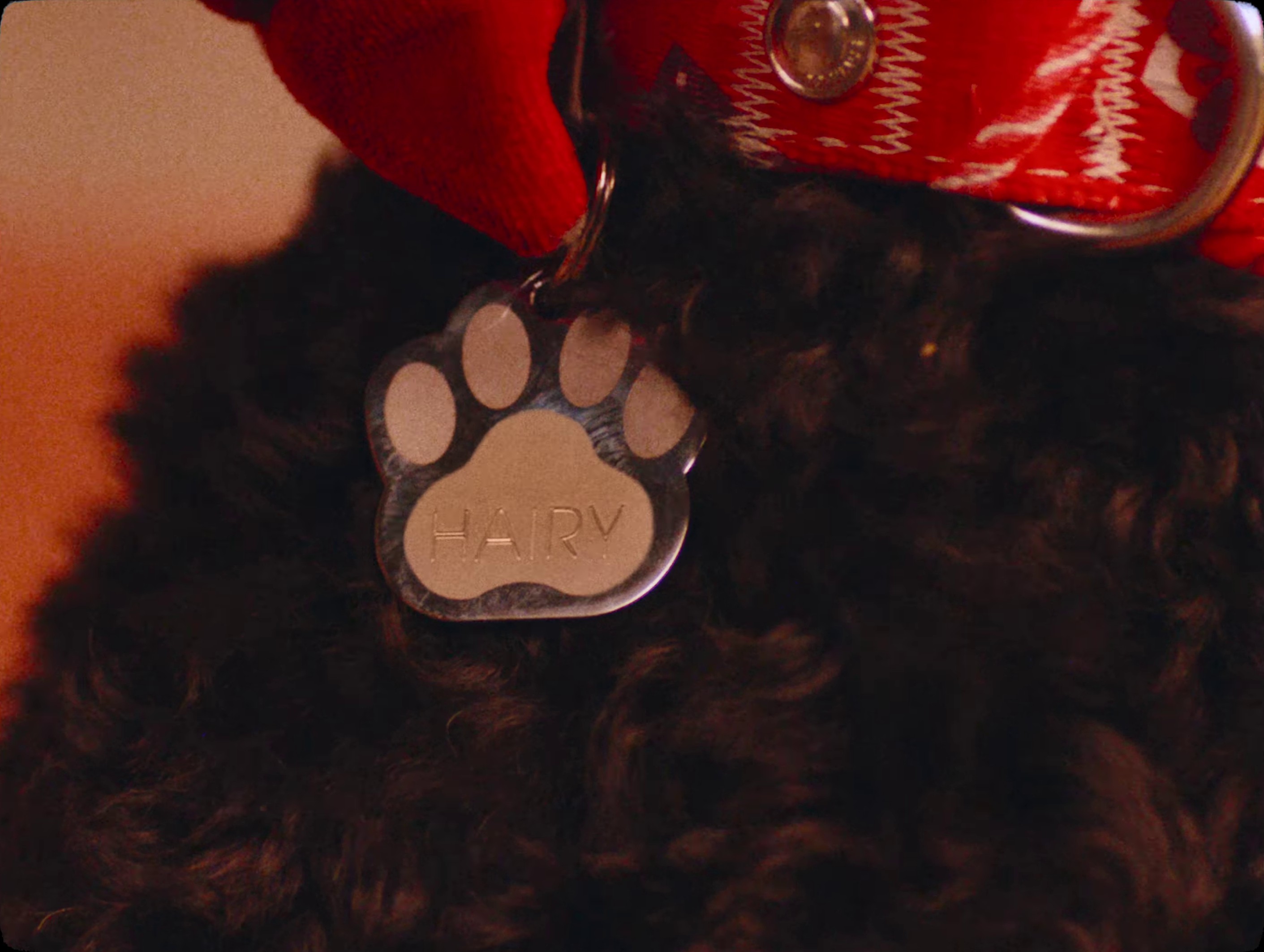 Gentleman (2024) —  shot,  lighting