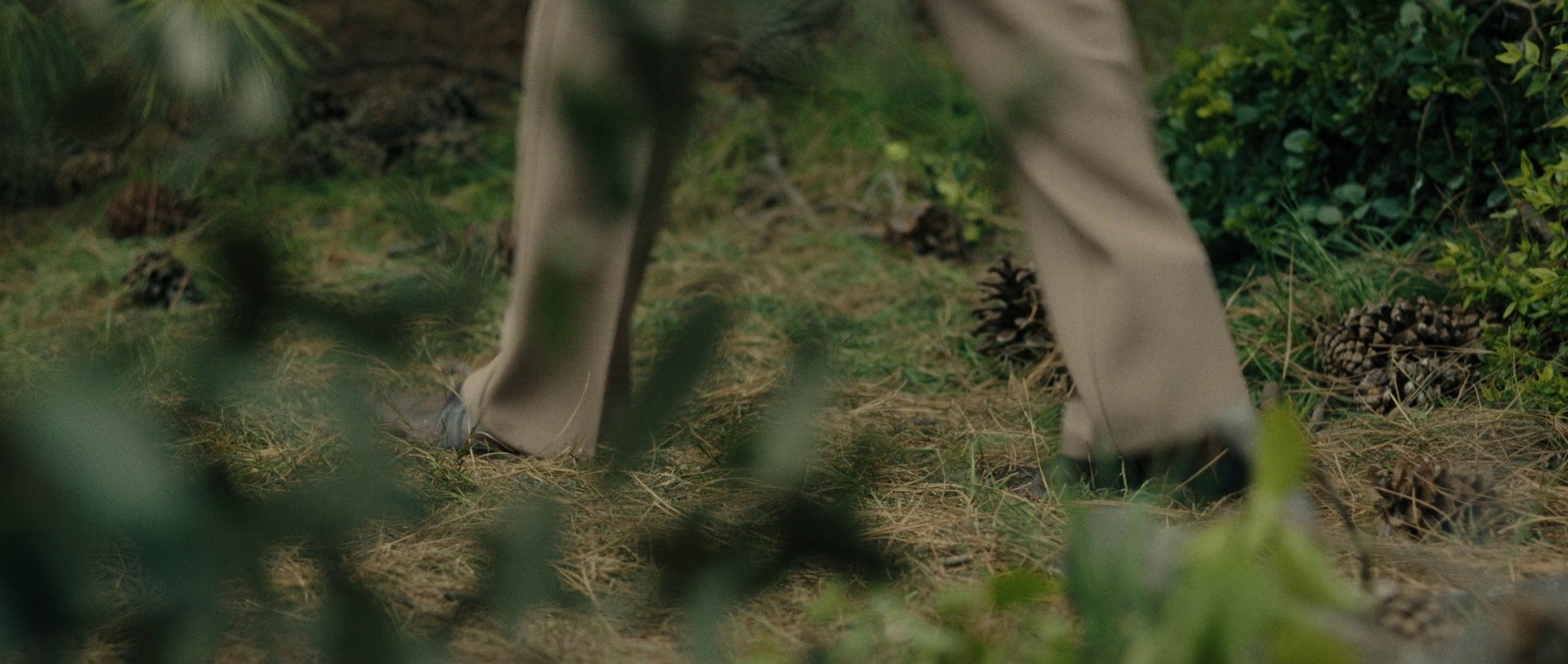 The Godfather (2025) —  shot,  lighting