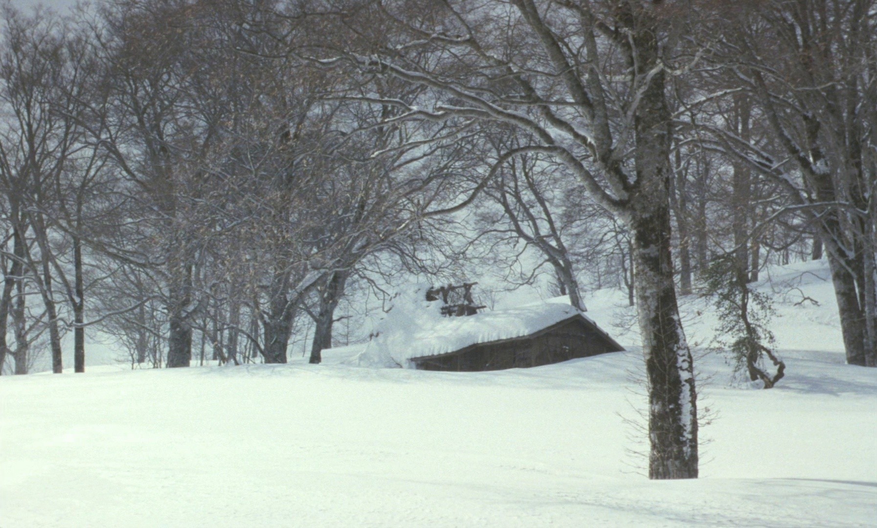 Sleeping Man (1996) —  shot,  lighting