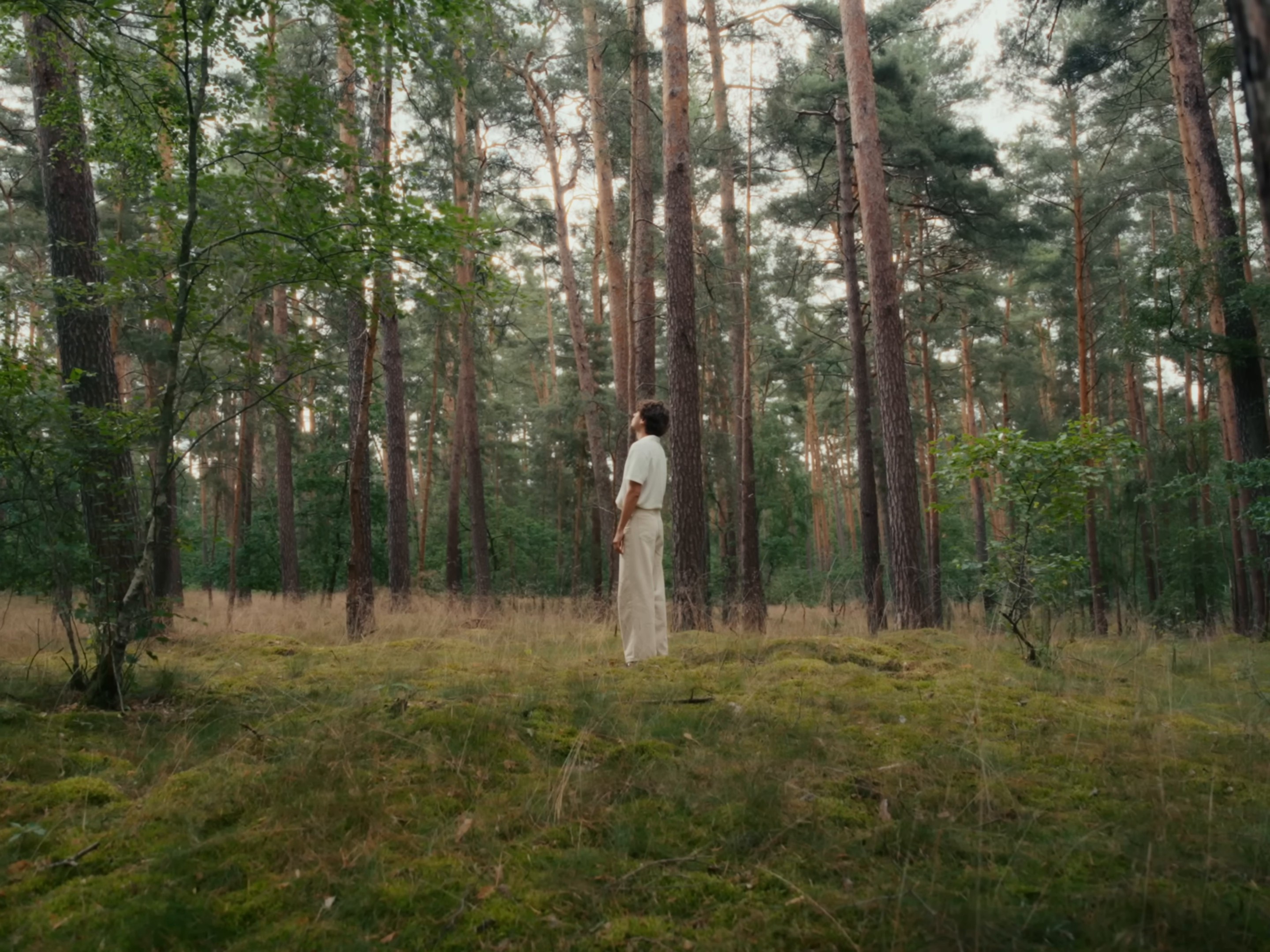 Fallen (2024) —  shot,  lighting