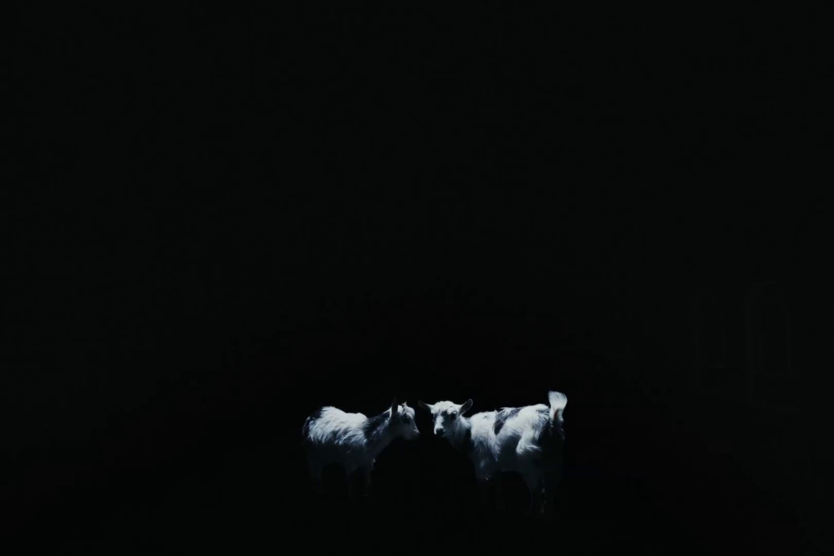 Count The Ways (2025) —  shot,  lighting