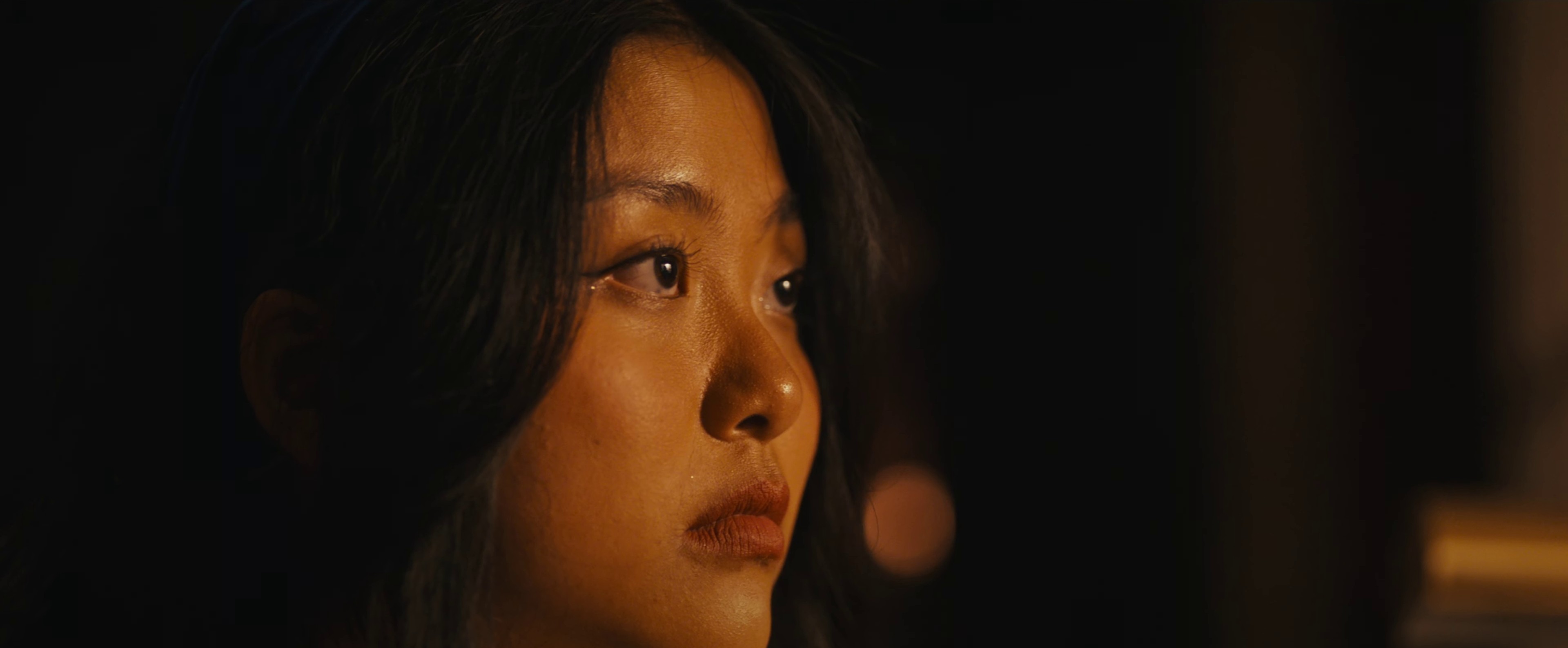 I Dreamed About You (2024) —  shot,  lighting