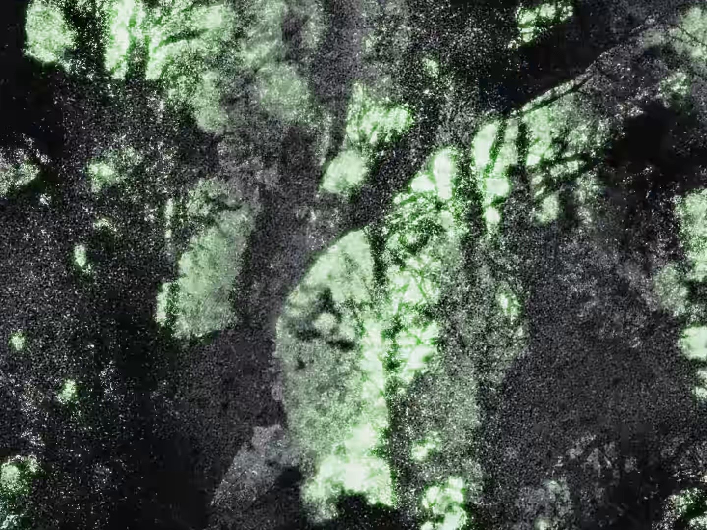 EMOTICONE (2026) —  shot,  lighting