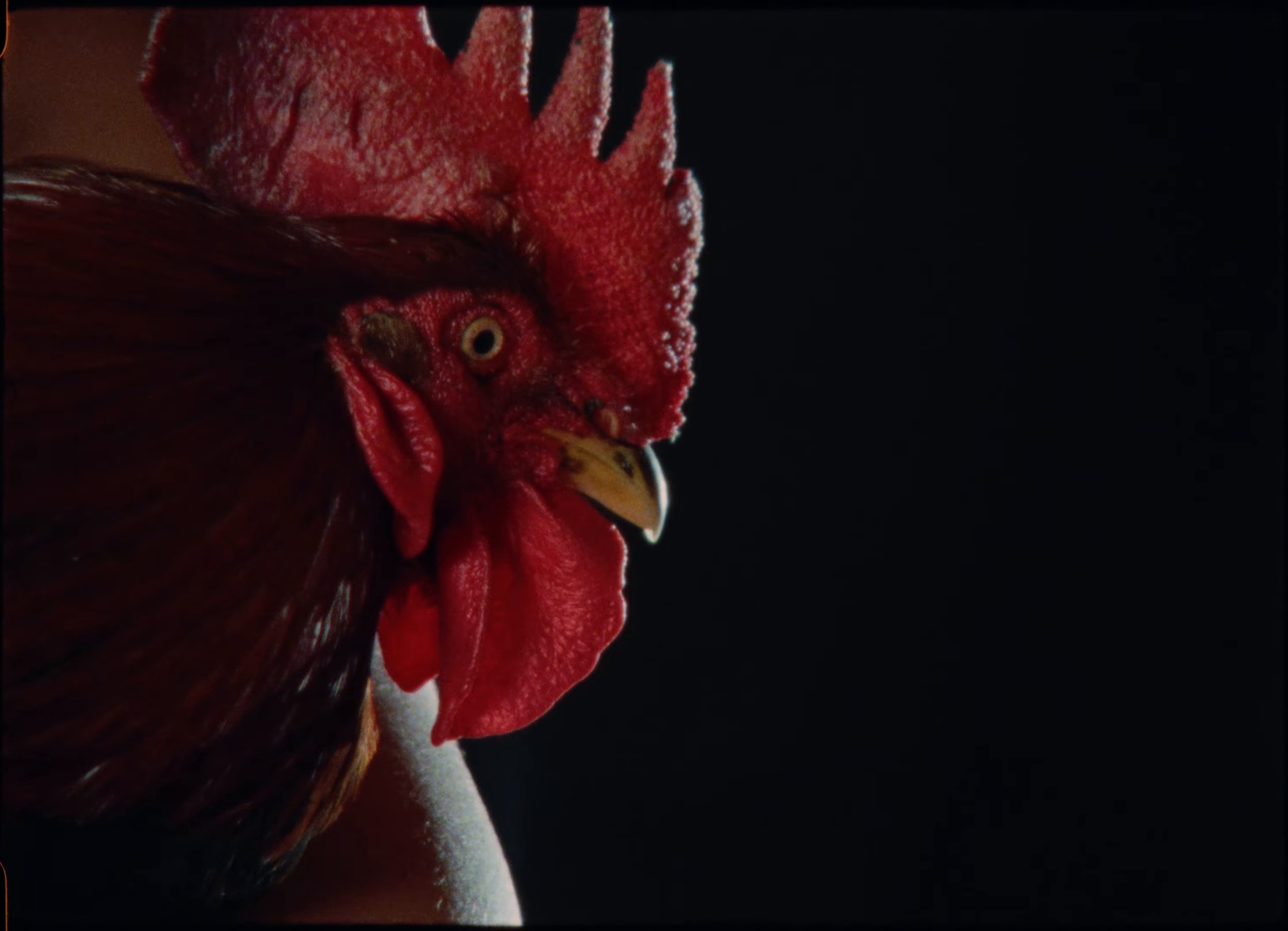 DDD31 (2024) —  shot,  lighting