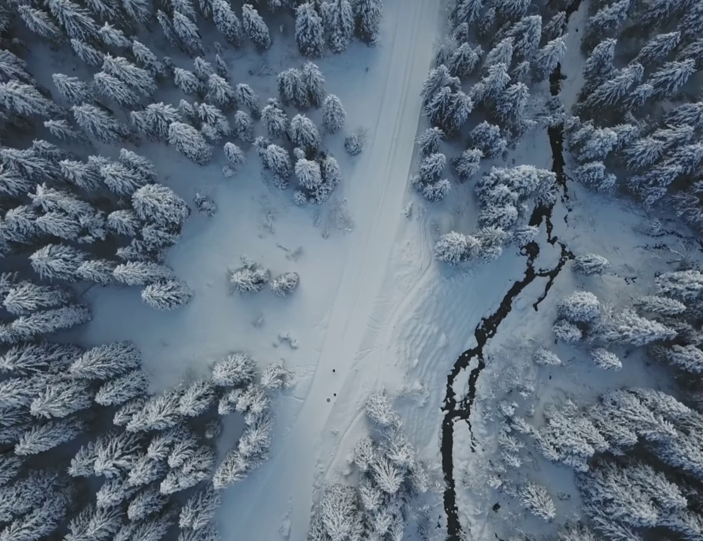 EASY PREY (2022) —  shot,  lighting