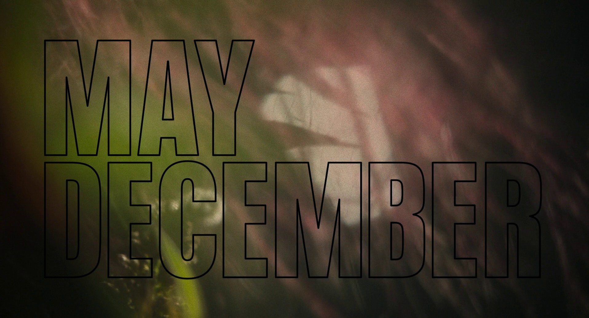 May December (2024) —  shot,  lighting