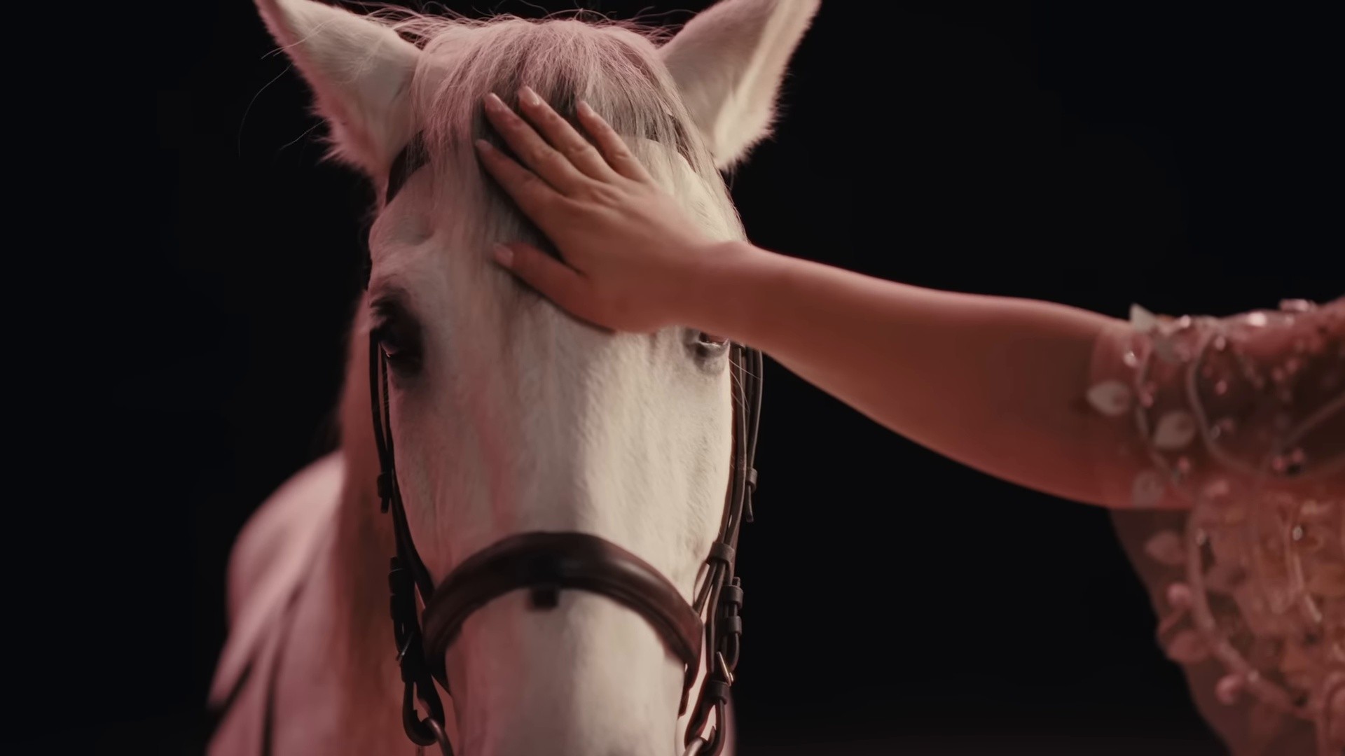 MAL LUNÉE (2025) —  shot,  lighting