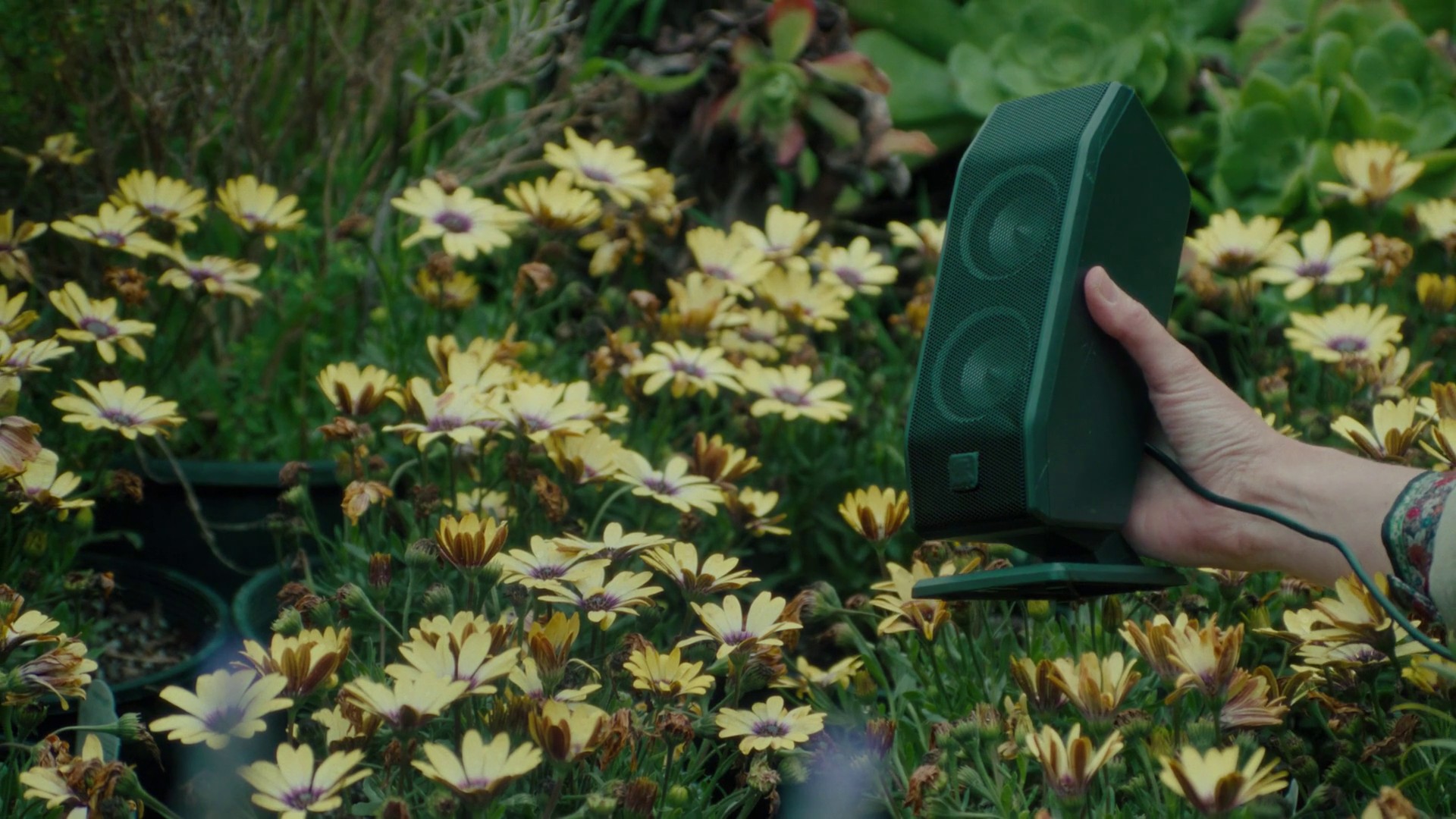 Brain Dead x Spotify (2024) —  shot,  lighting