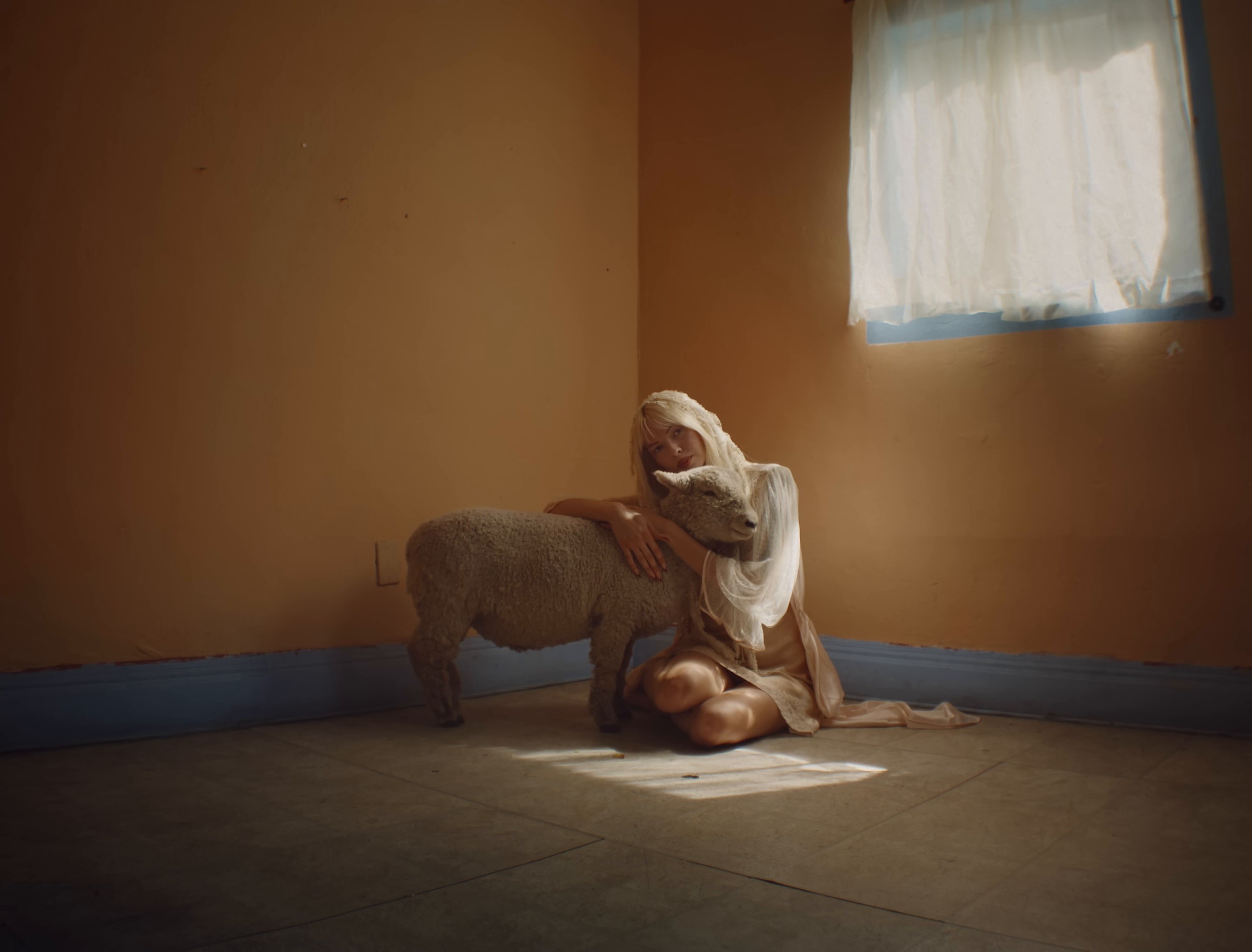 iMelrose (2024) —  shot,  lighting