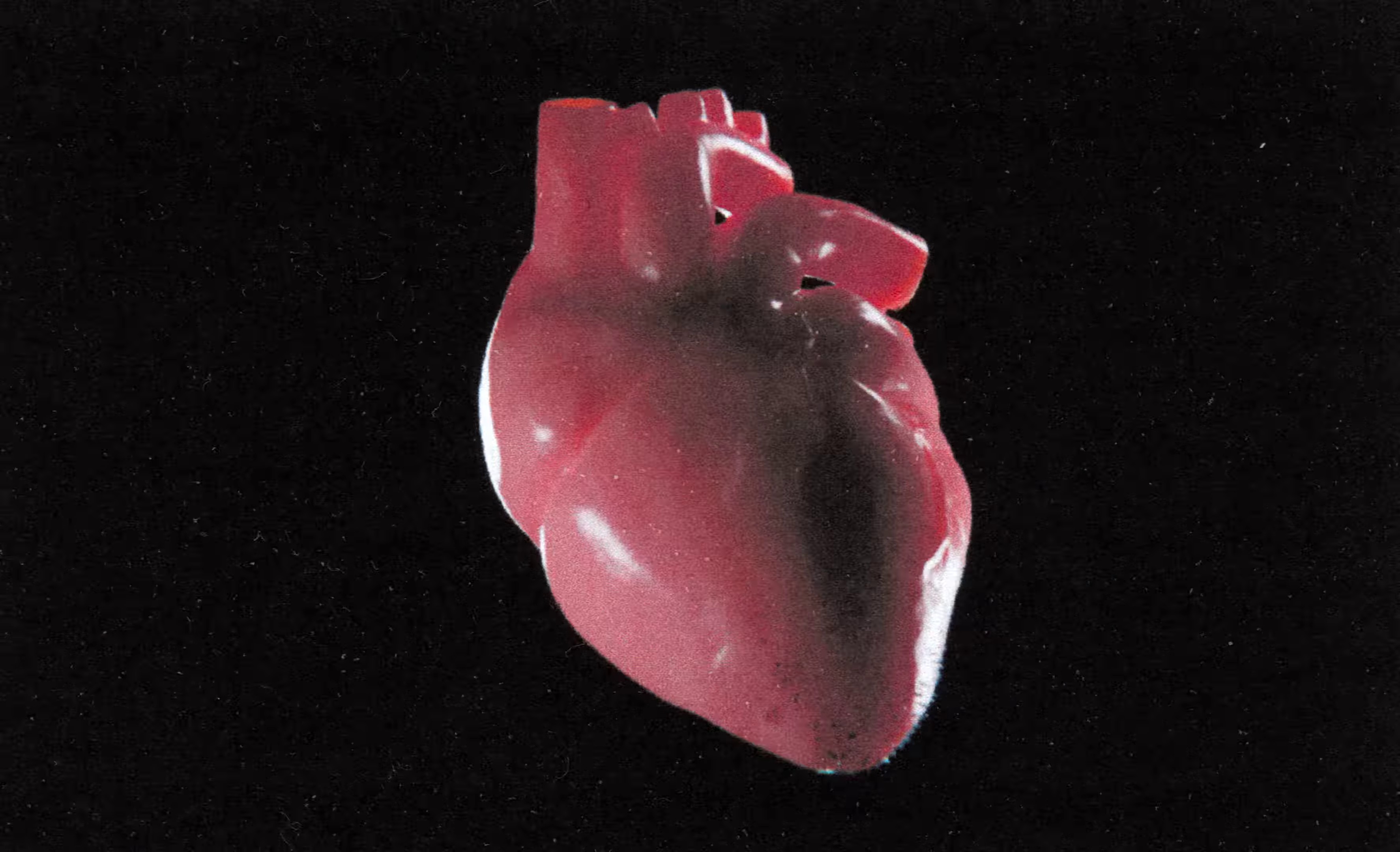 Lost All My Feelings (2023) —  shot,  lighting