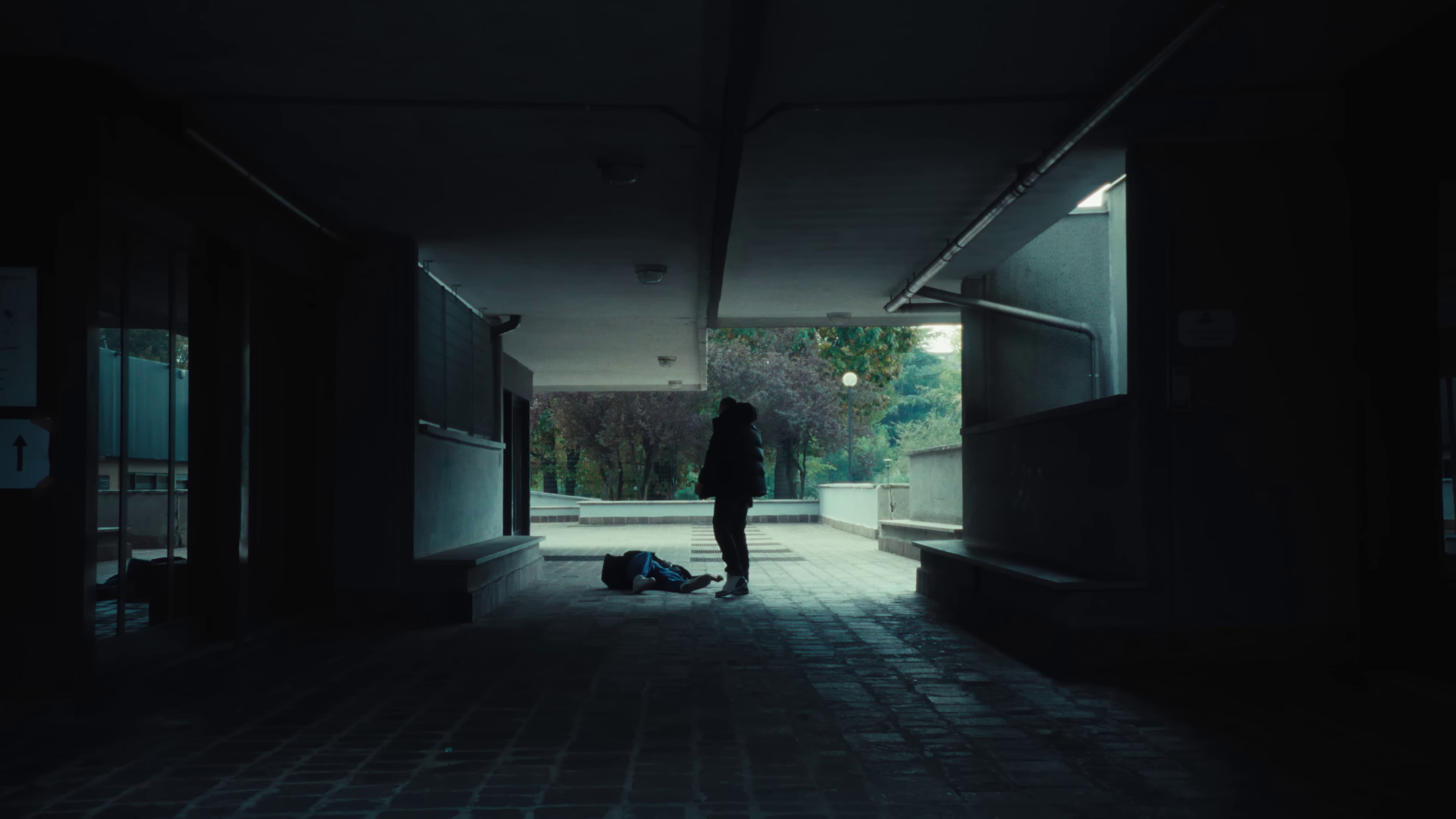 Tennessee  (2022) —  shot,  lighting