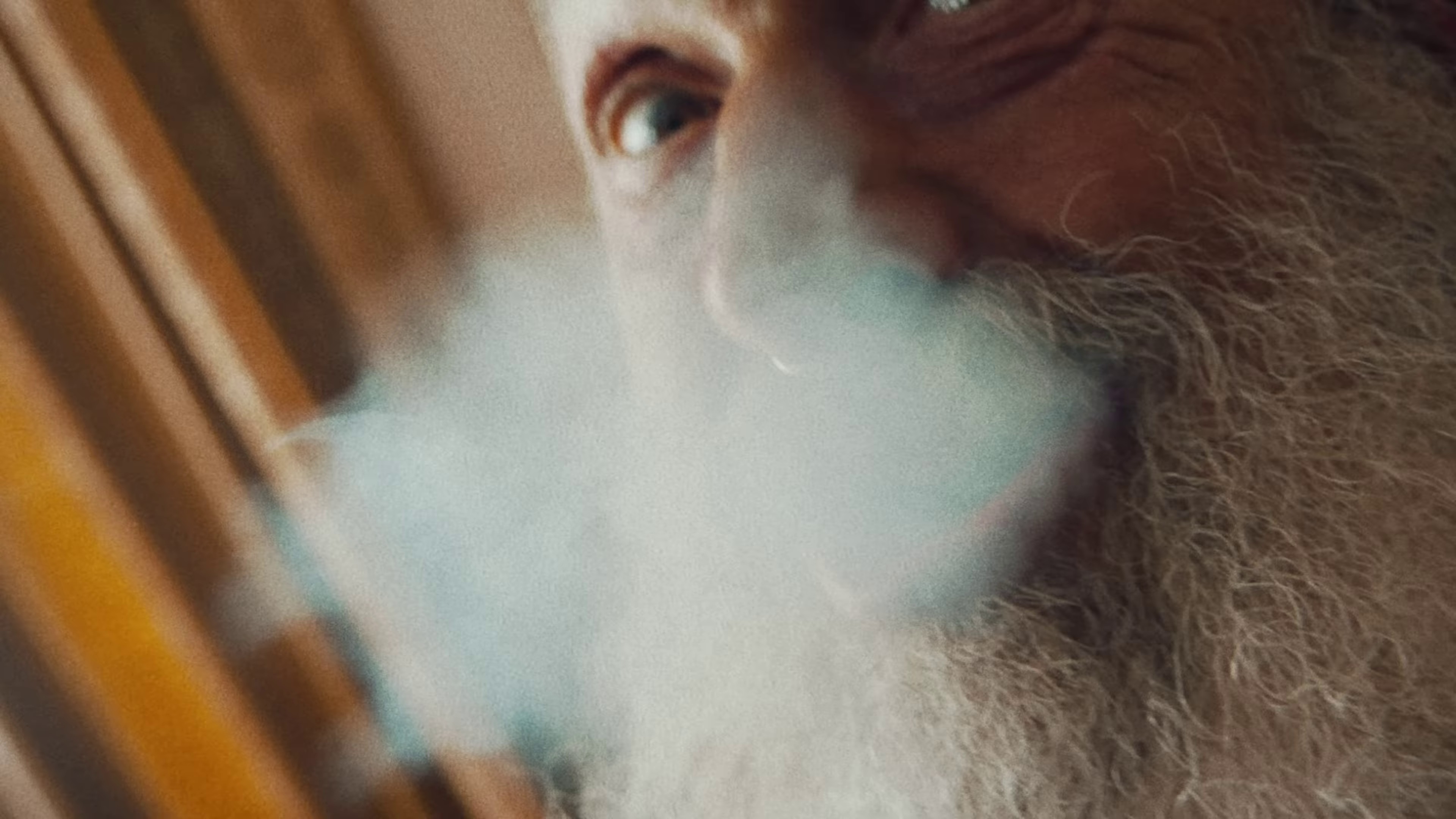 Lowlife (2023) —  shot,  lighting