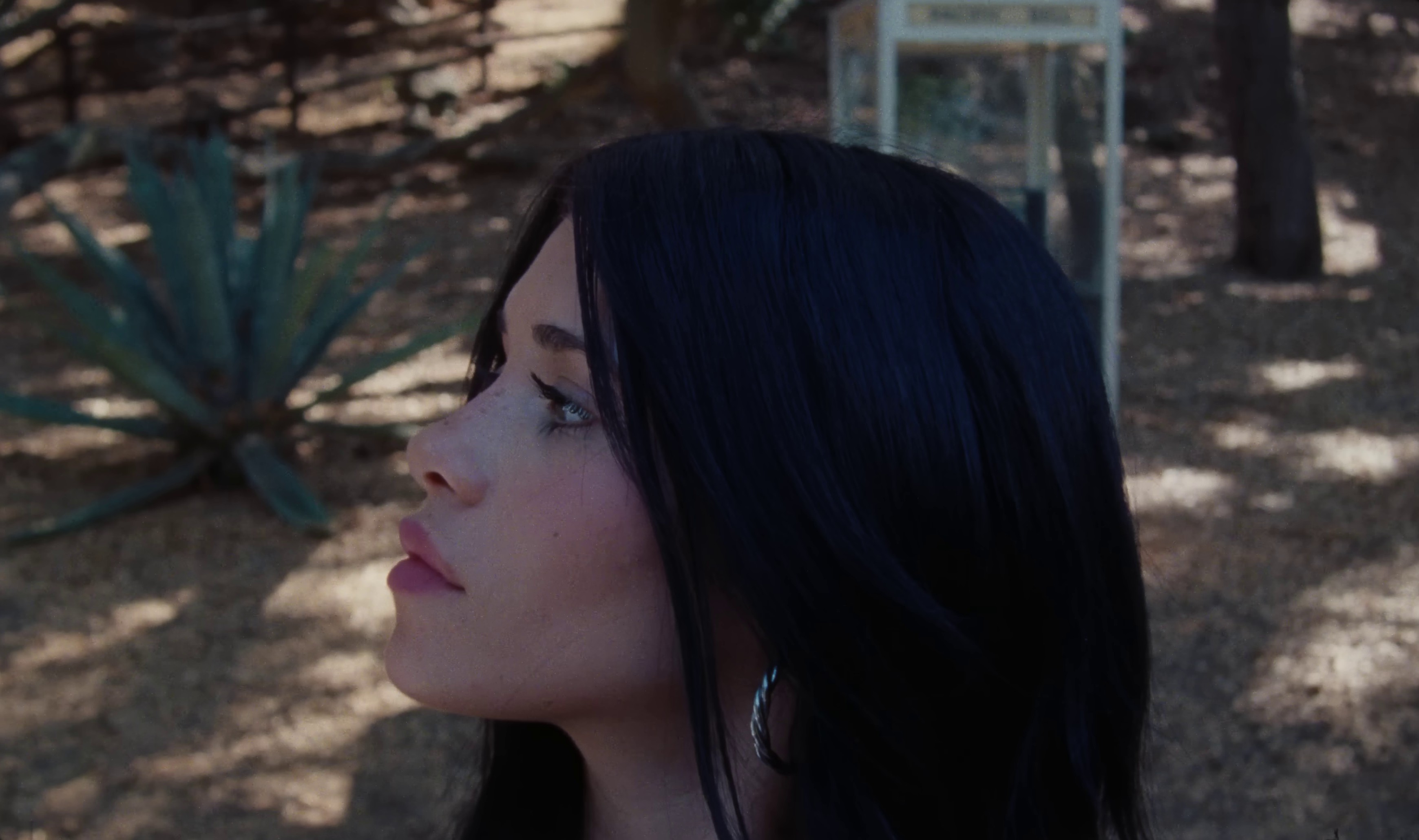 tired of california  (2022) —  shot,  lighting