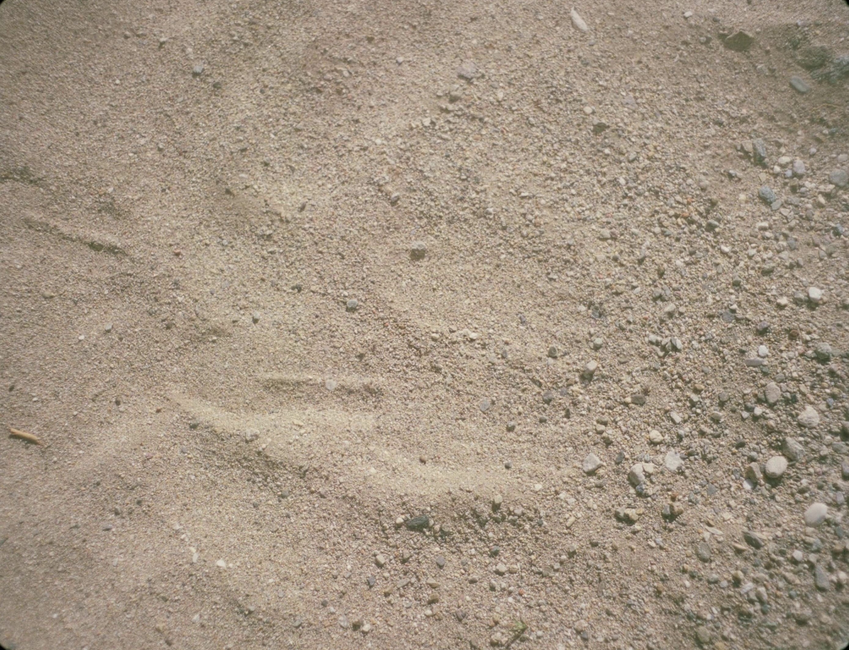 loewe X on | the breath (2024) —  shot,  lighting