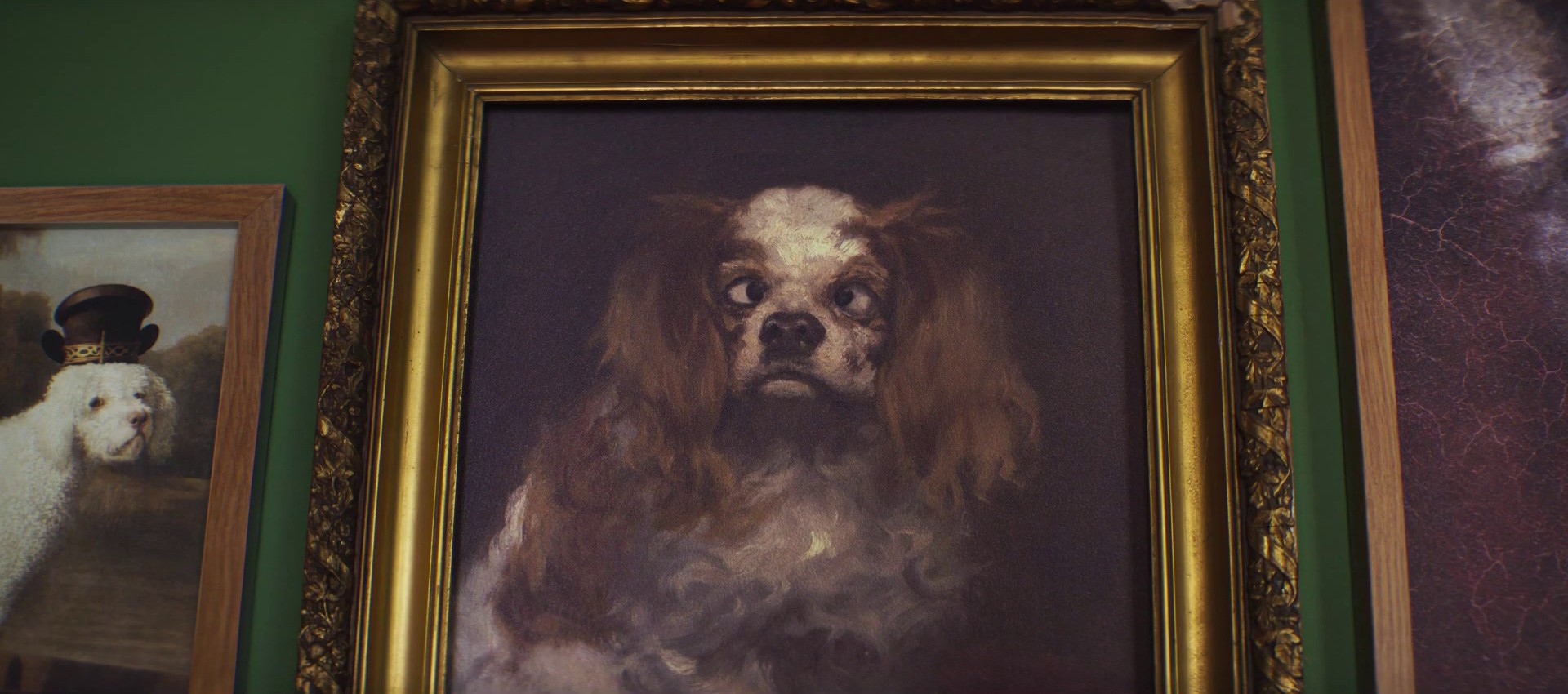 Maybe it’s time to switch | Fish Whisperer 30" (2024) —  shot,  lighting