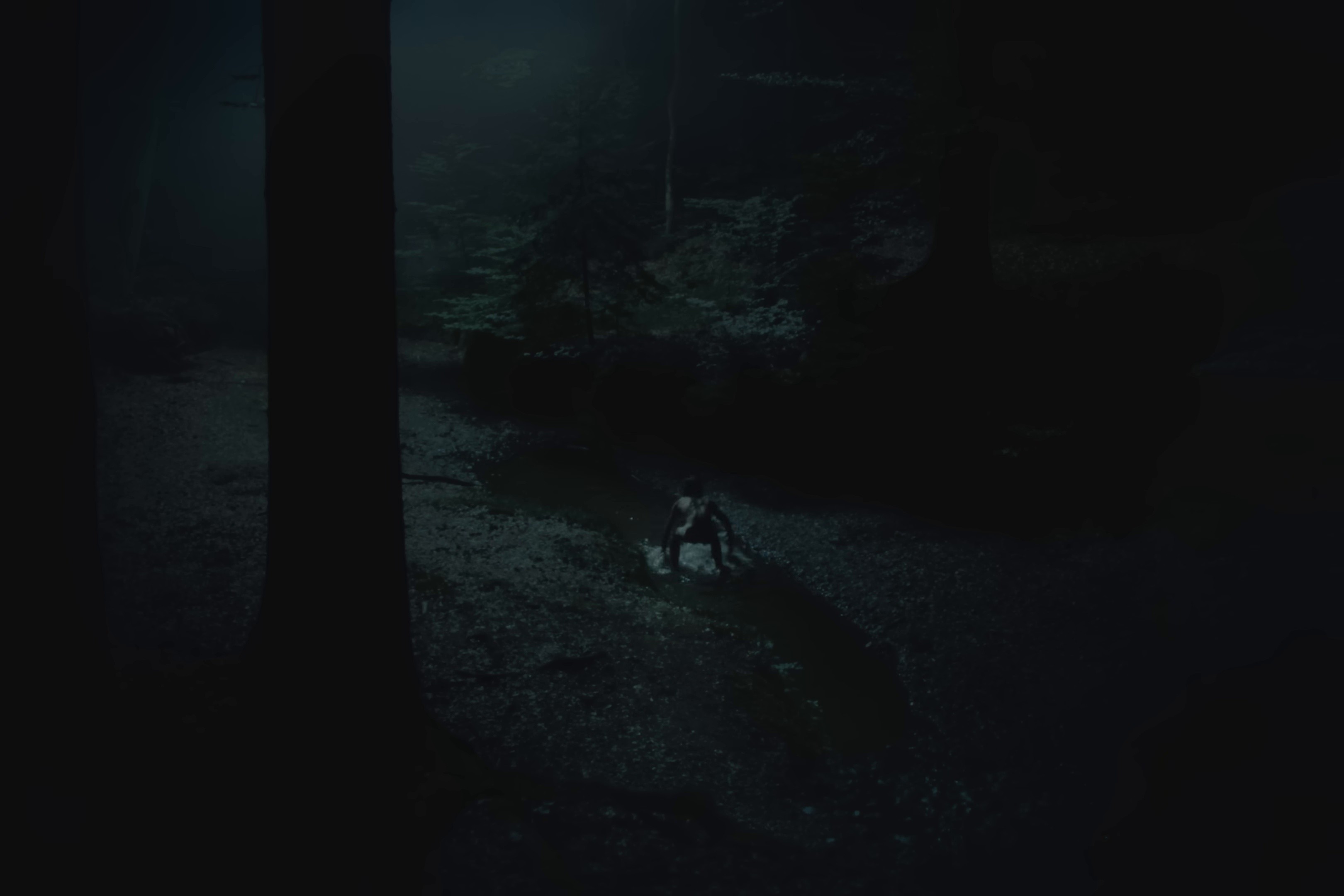 Specter  (2025) —  shot,  lighting