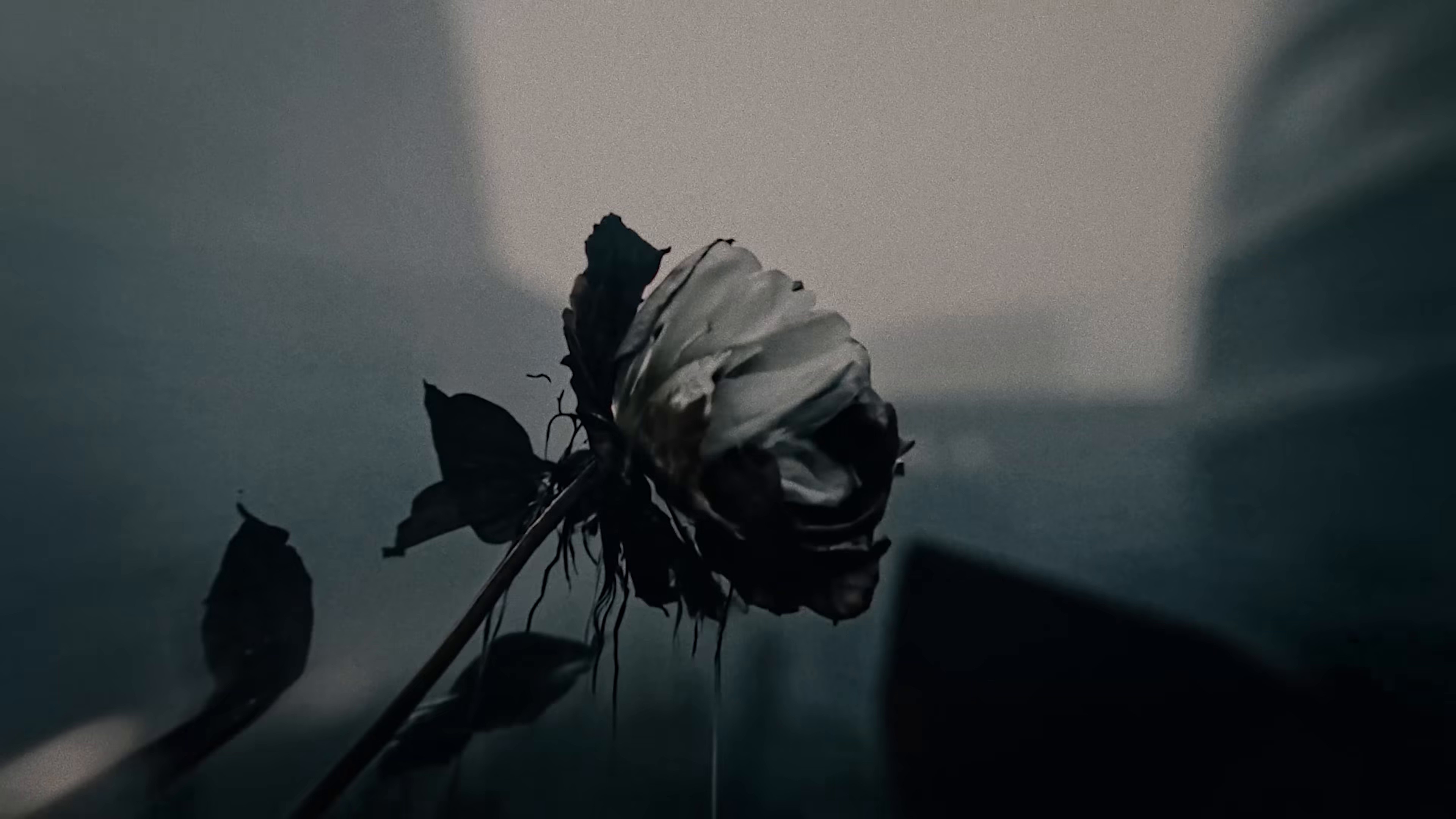 Rien ne se remplace (2025) —  shot,  lighting