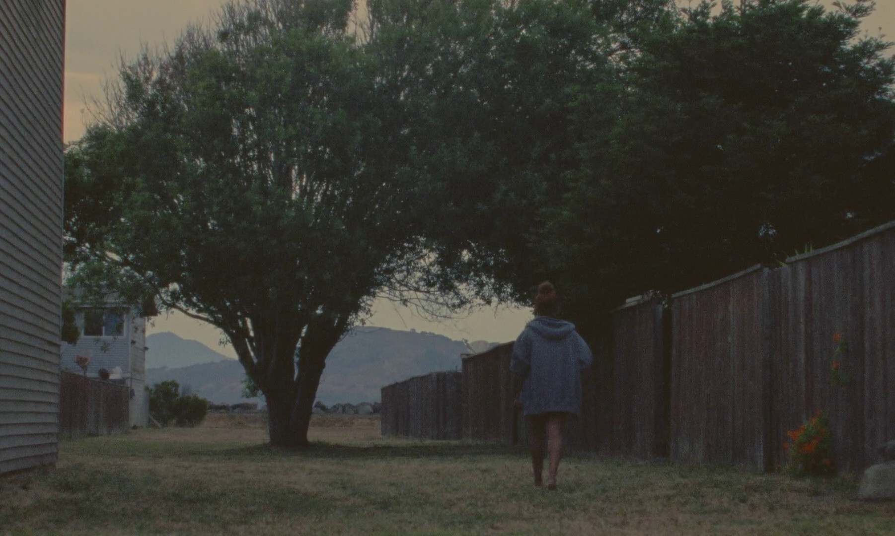 Earth Mama (2023) —  shot,  lighting