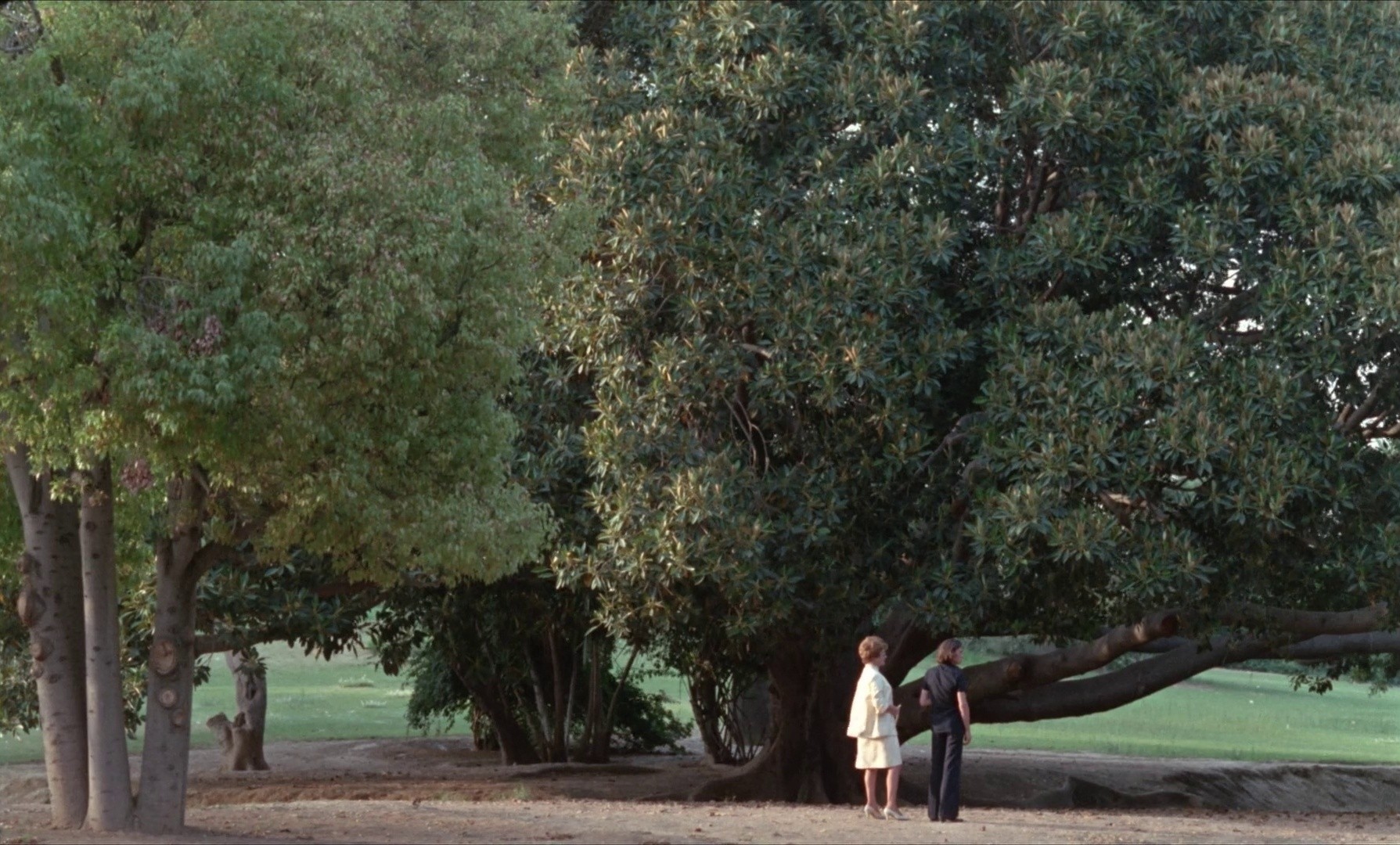 Le clair de terre (1970) —  shot,  lighting