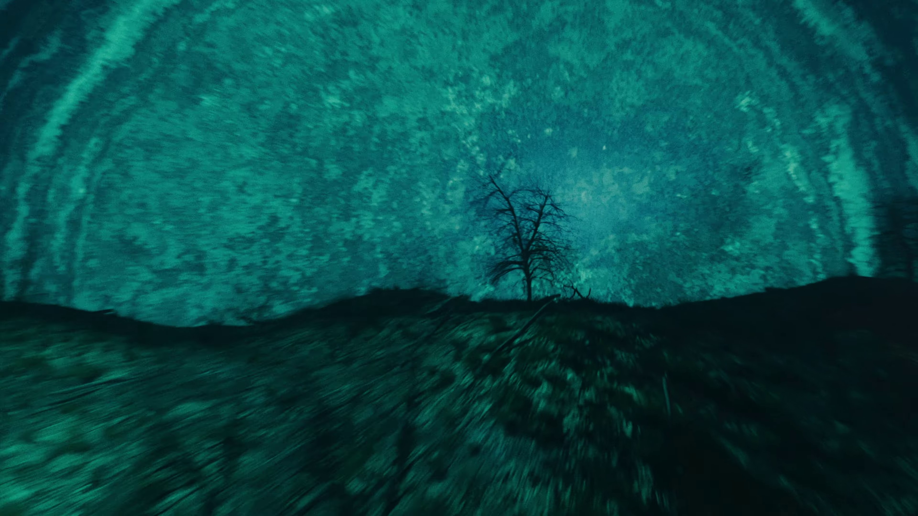 Holy Garden (2024) —  shot,  lighting