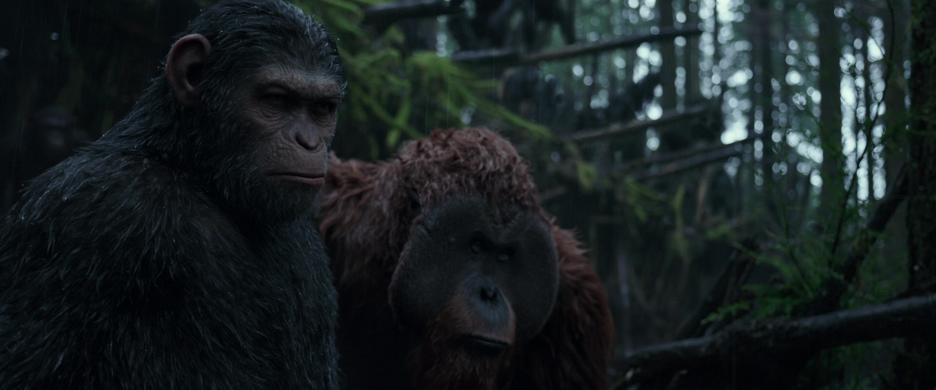 War for the Planet of the Apes (2017) —  shot,  lighting