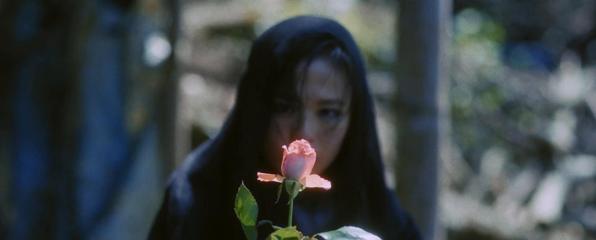 Wanna Be (2025) —  shot,  lighting