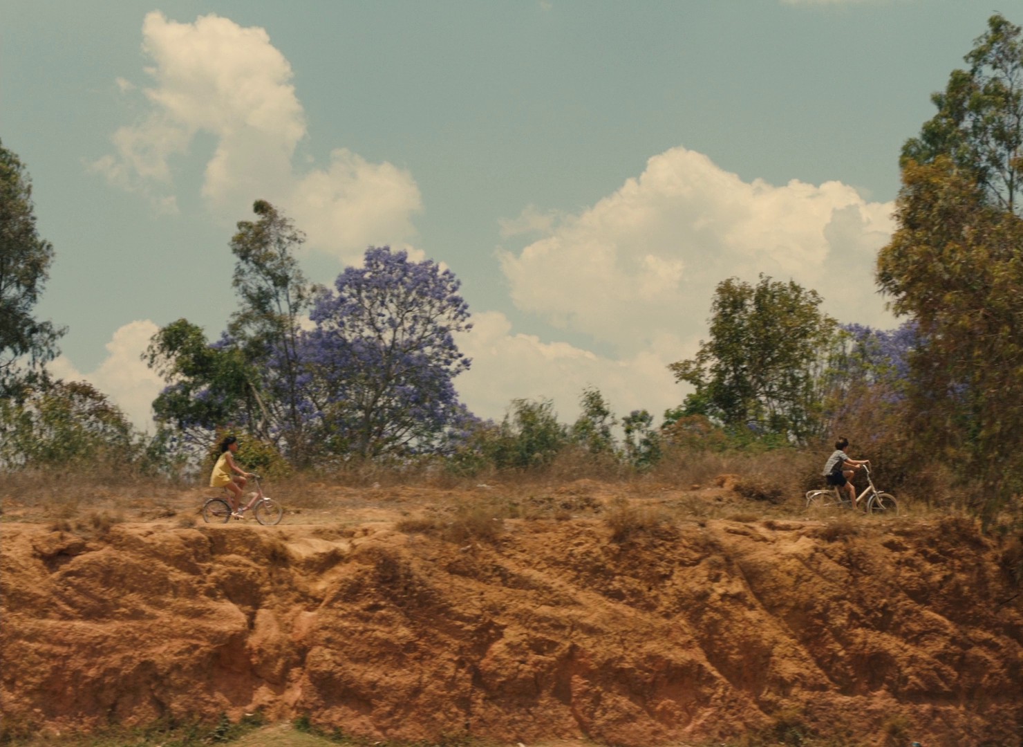 Red Island (2023) —  shot,  lighting