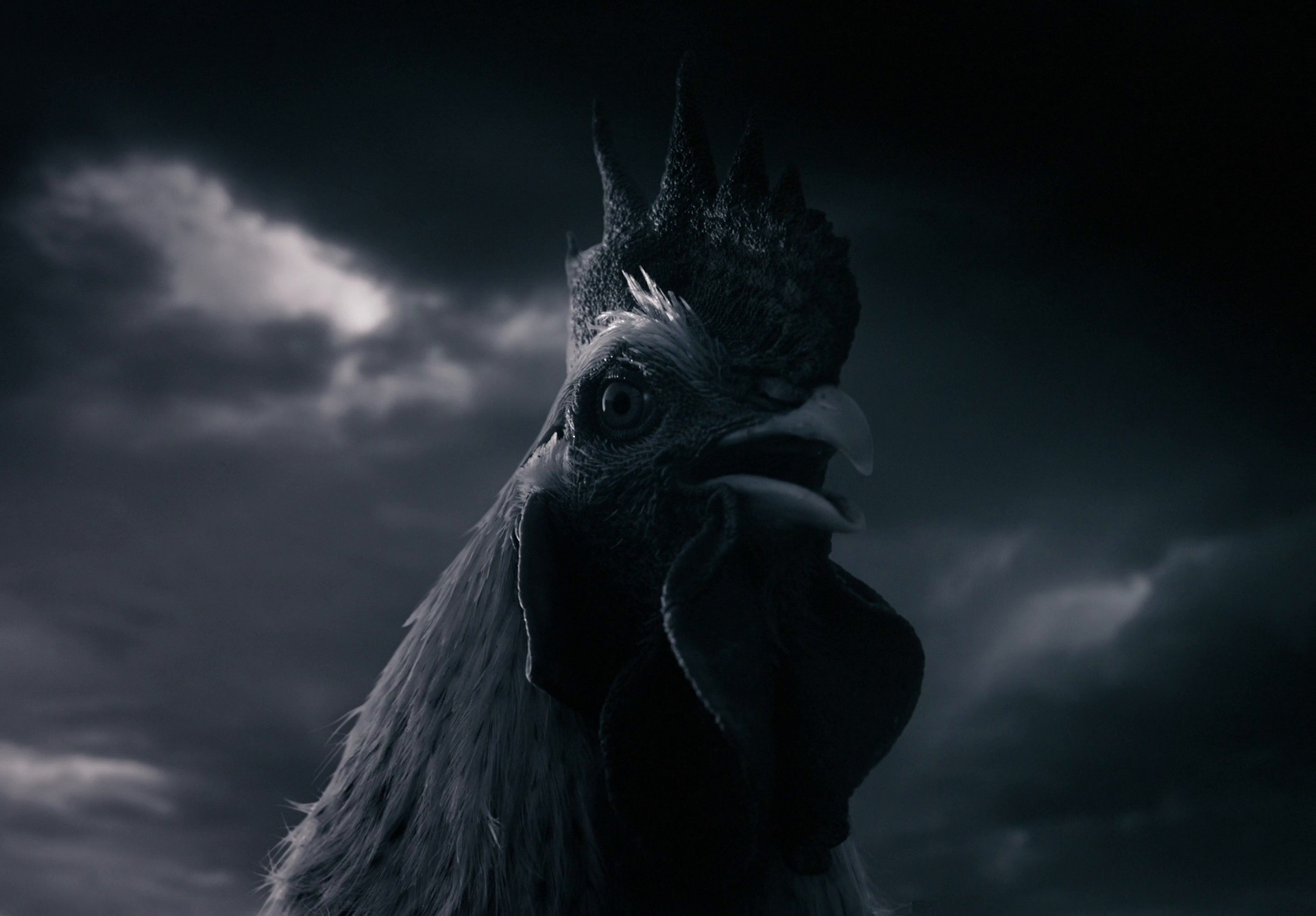 TONAL - FUTURE OF FITNESS (2024) —  shot,  lighting