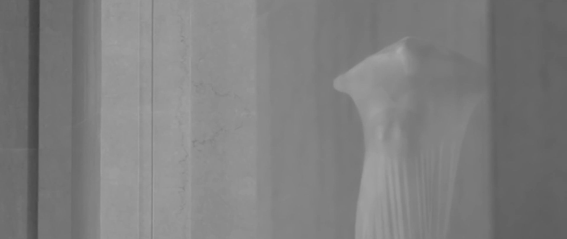 Skin (2014) —  shot,  lighting