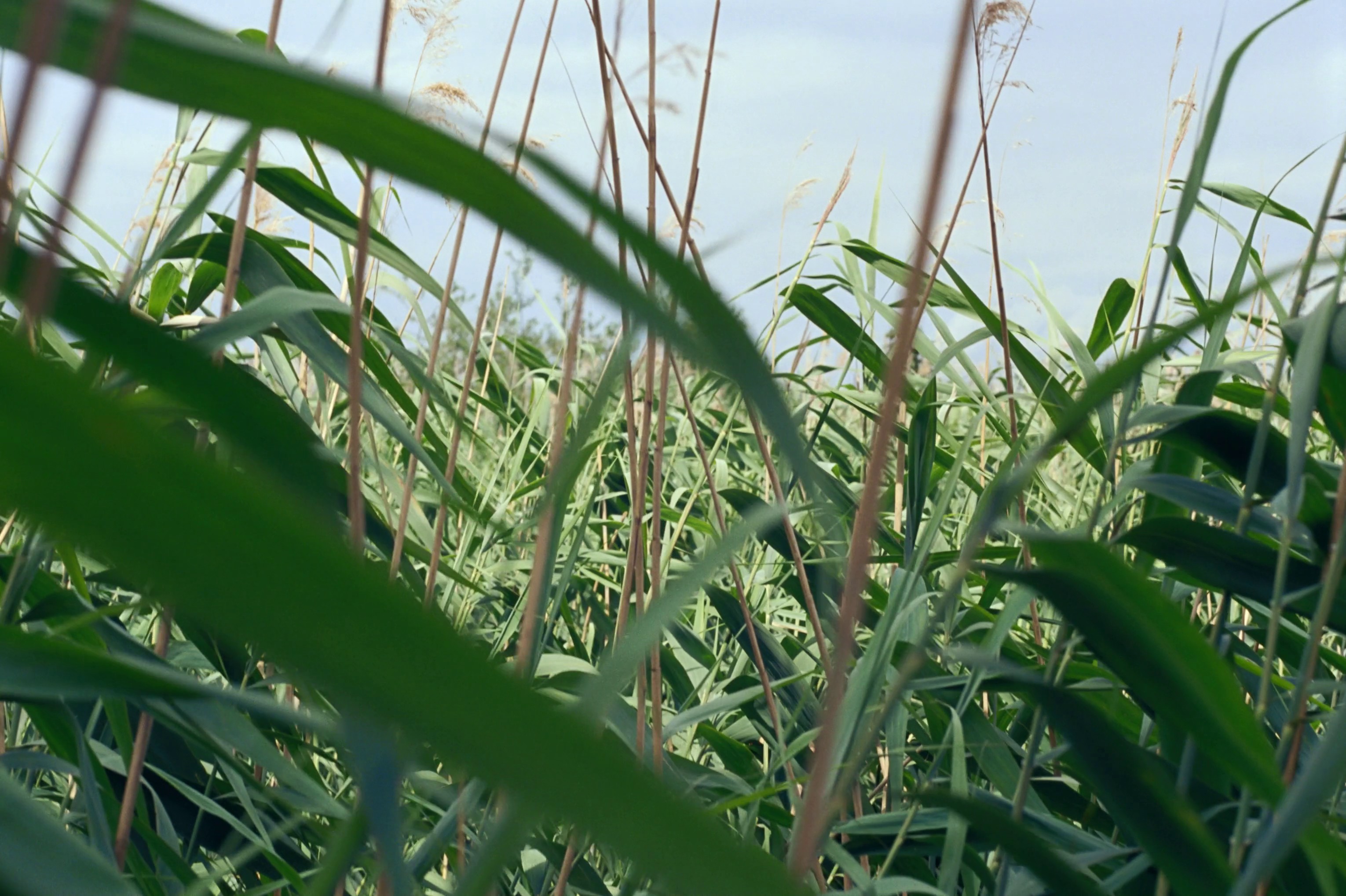 Zalando x Lululemon (2024) —  shot,  lighting