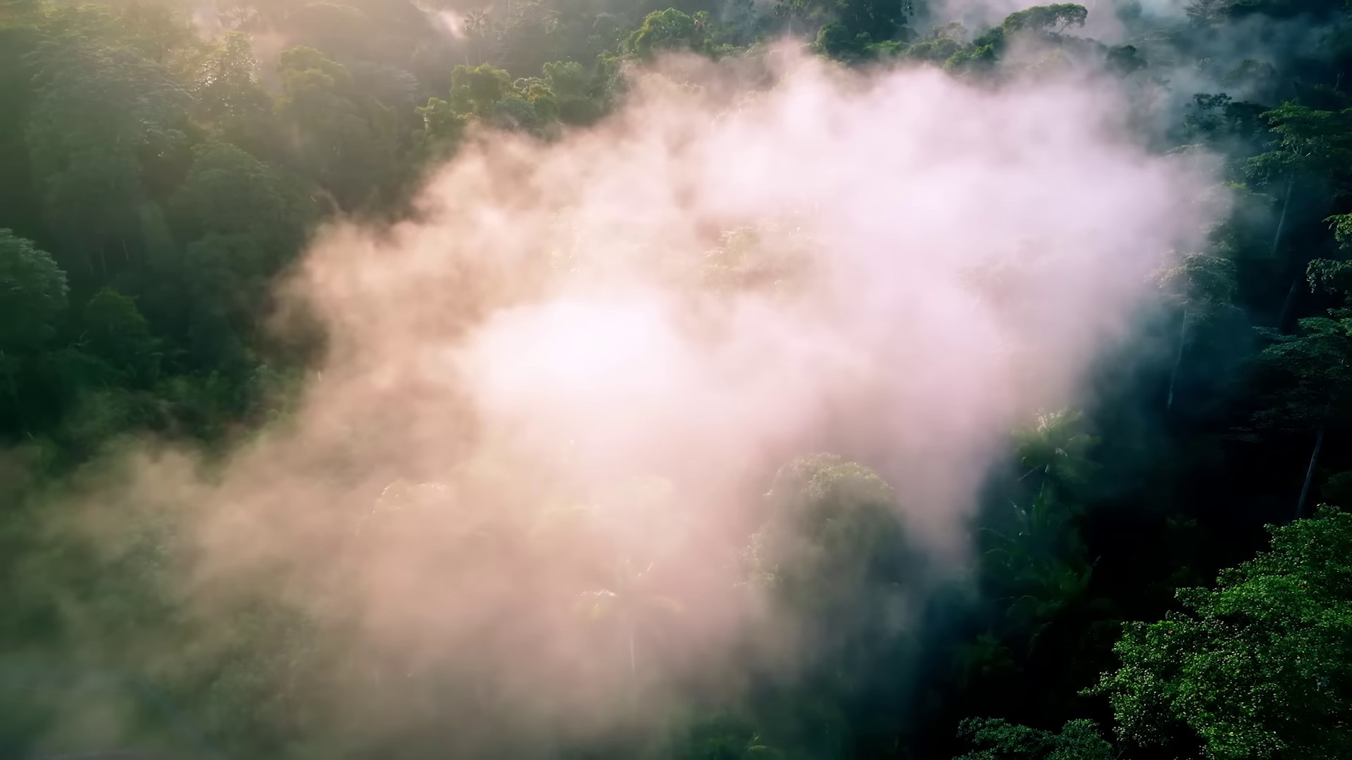 Ojapiano  (2023) —  shot,  lighting