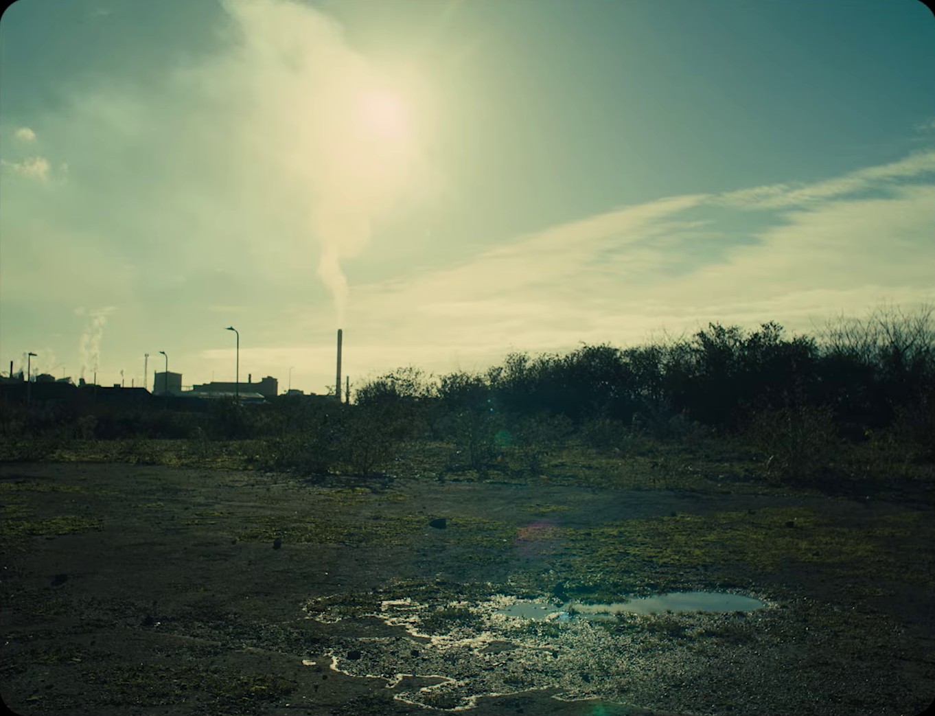 Corduroy (2024) —  shot,  lighting