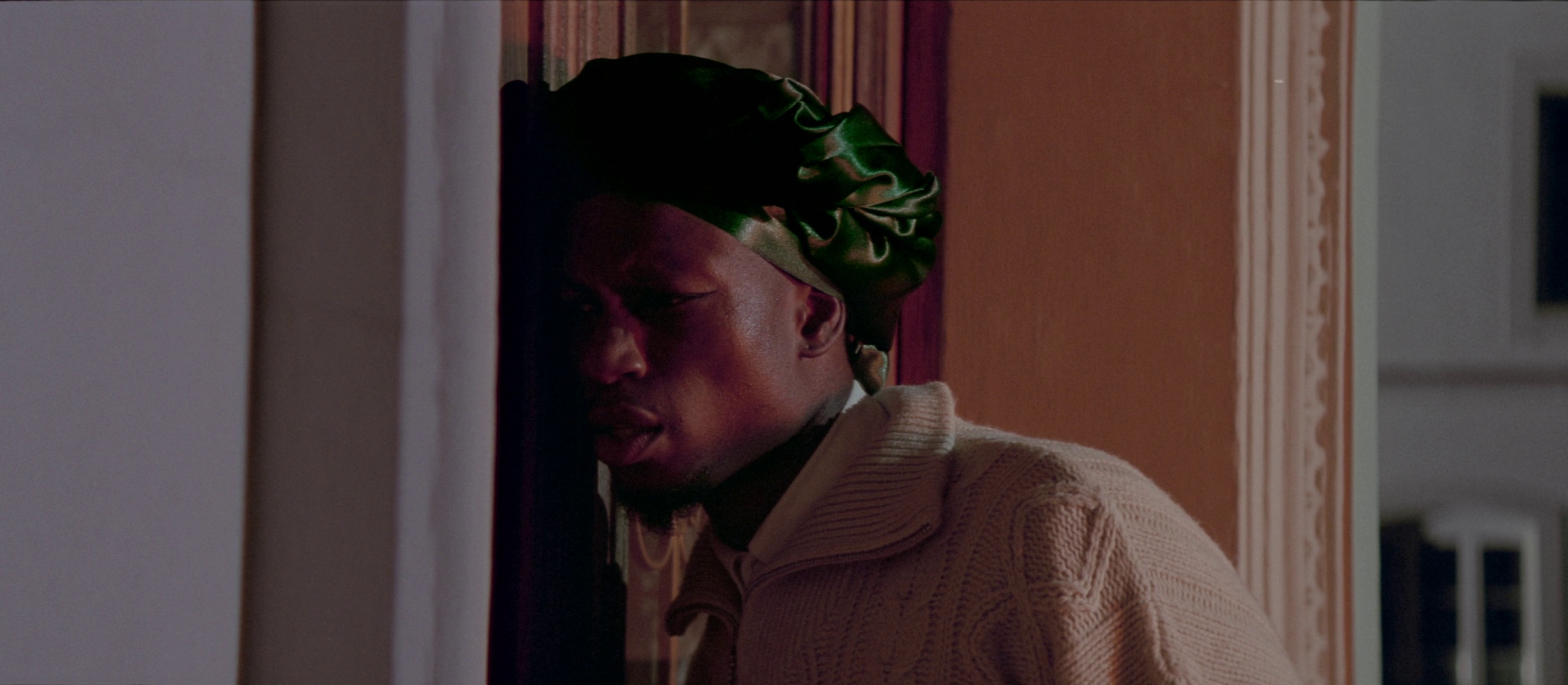 MIGROS - SALVIA ROSMARINUS (2024) —  shot,  lighting