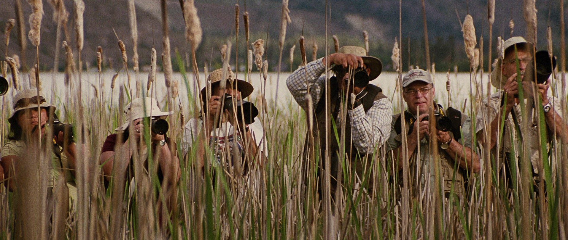 The Big Year (2011) —  shot,  lighting