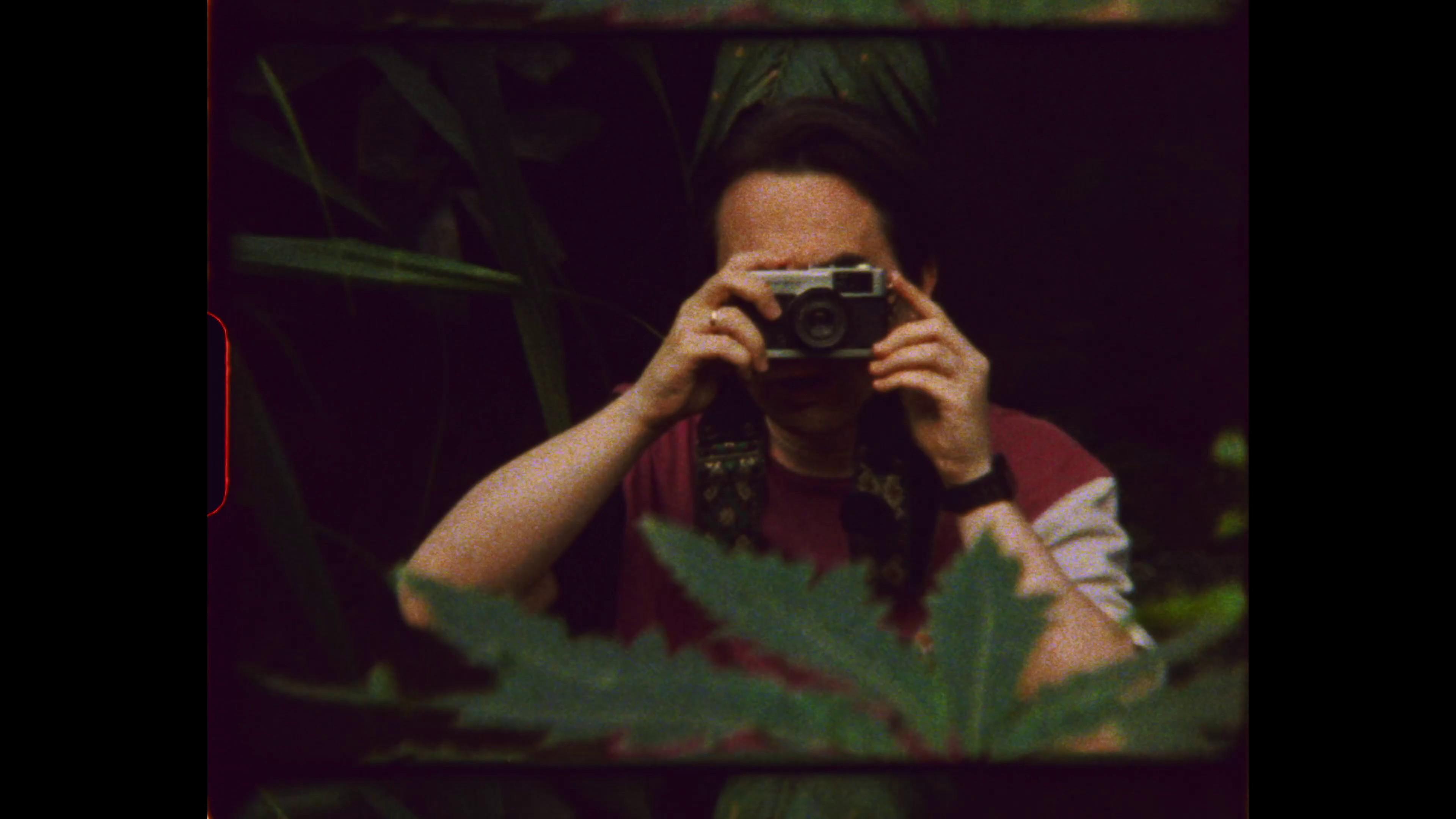 Live at Conservatory (2022) —  shot,  lighting