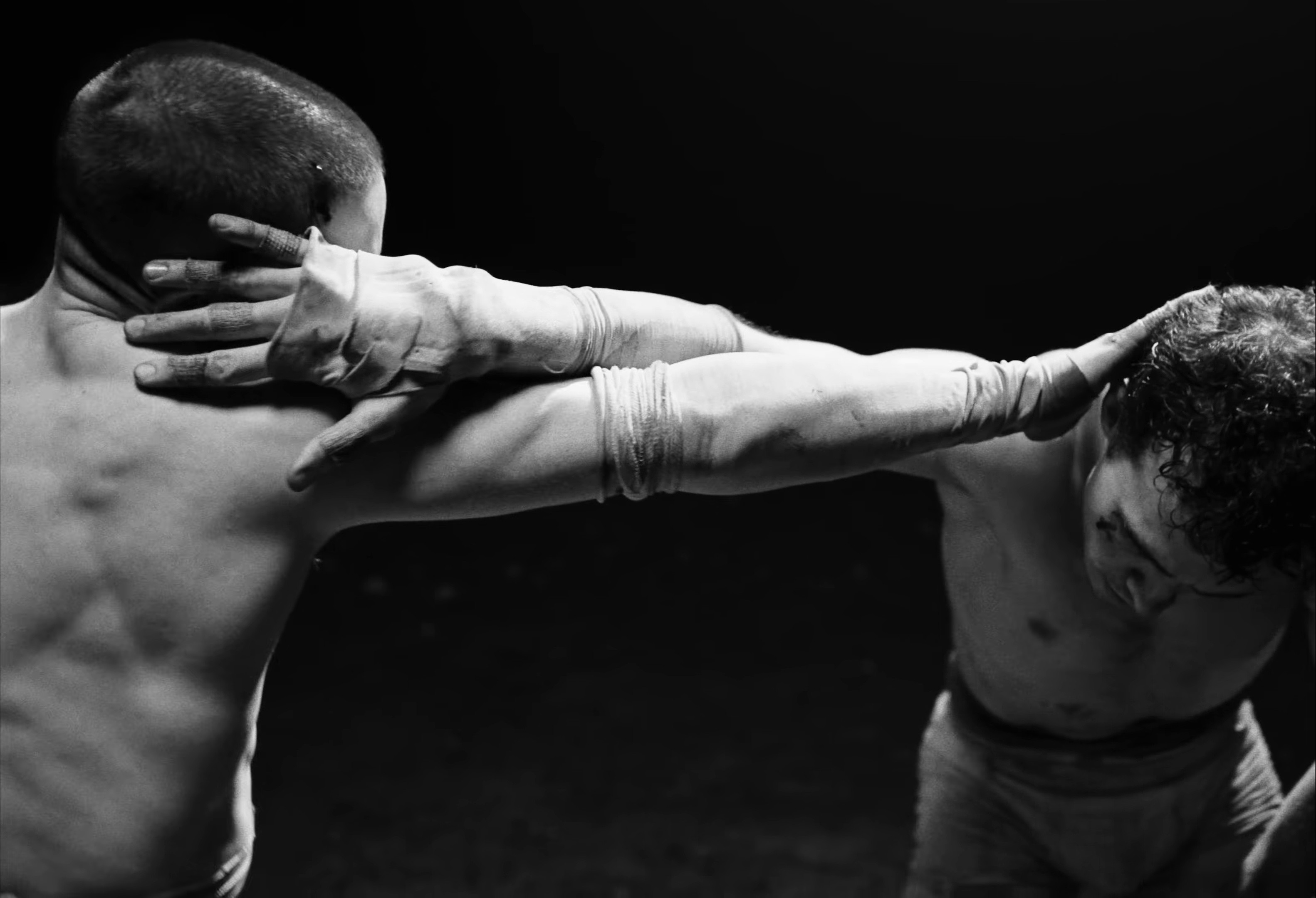 Open Fields (2025) —  shot,  lighting