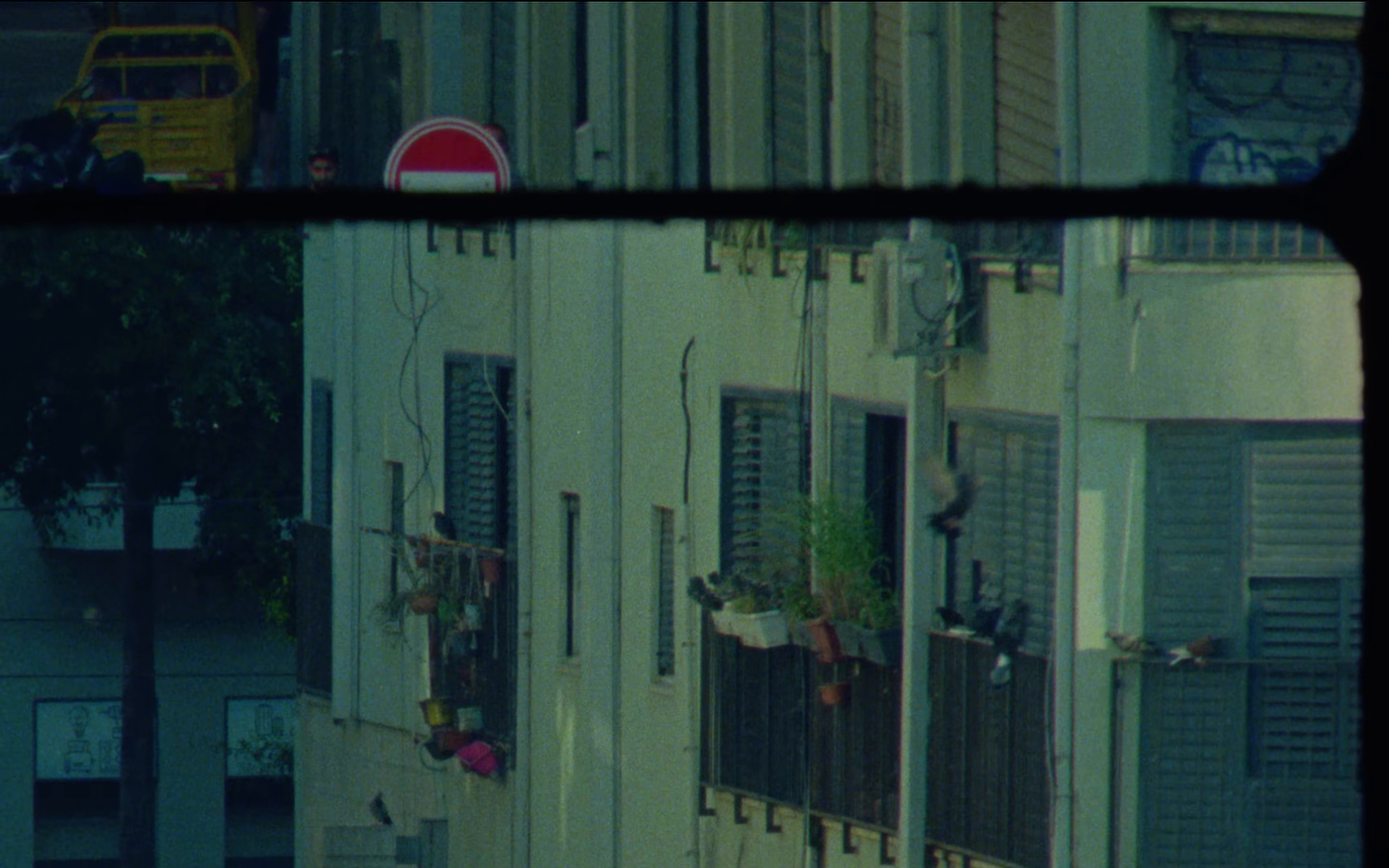 תן לי את האששש (2024) —  shot,  lighting