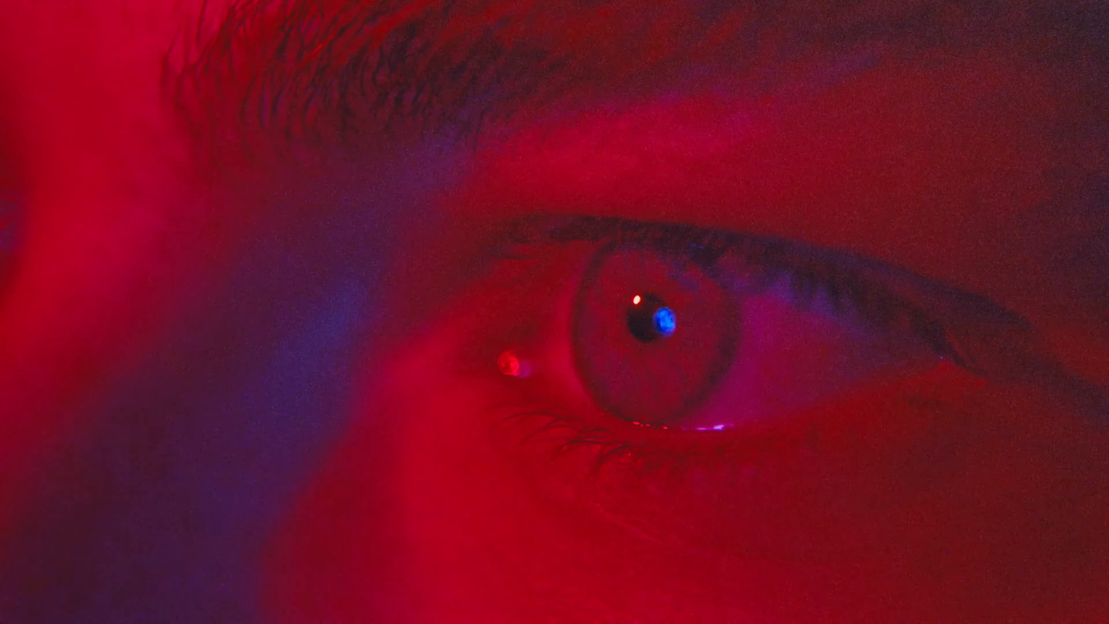 DESIRE (2022) —  shot,  lighting