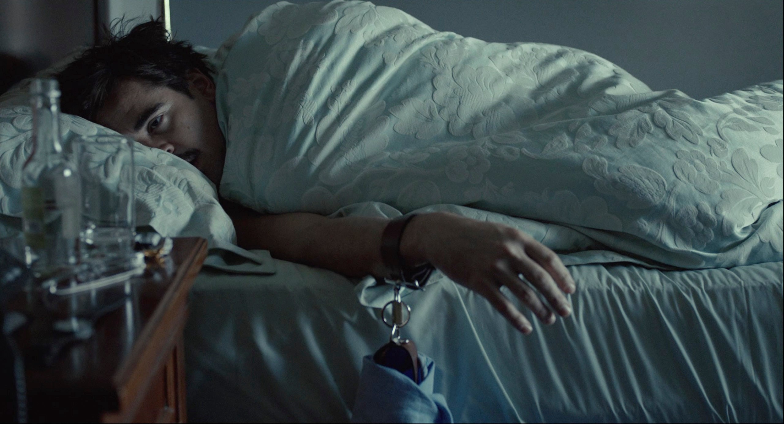 The Lobster (2015) —  shot,  lighting