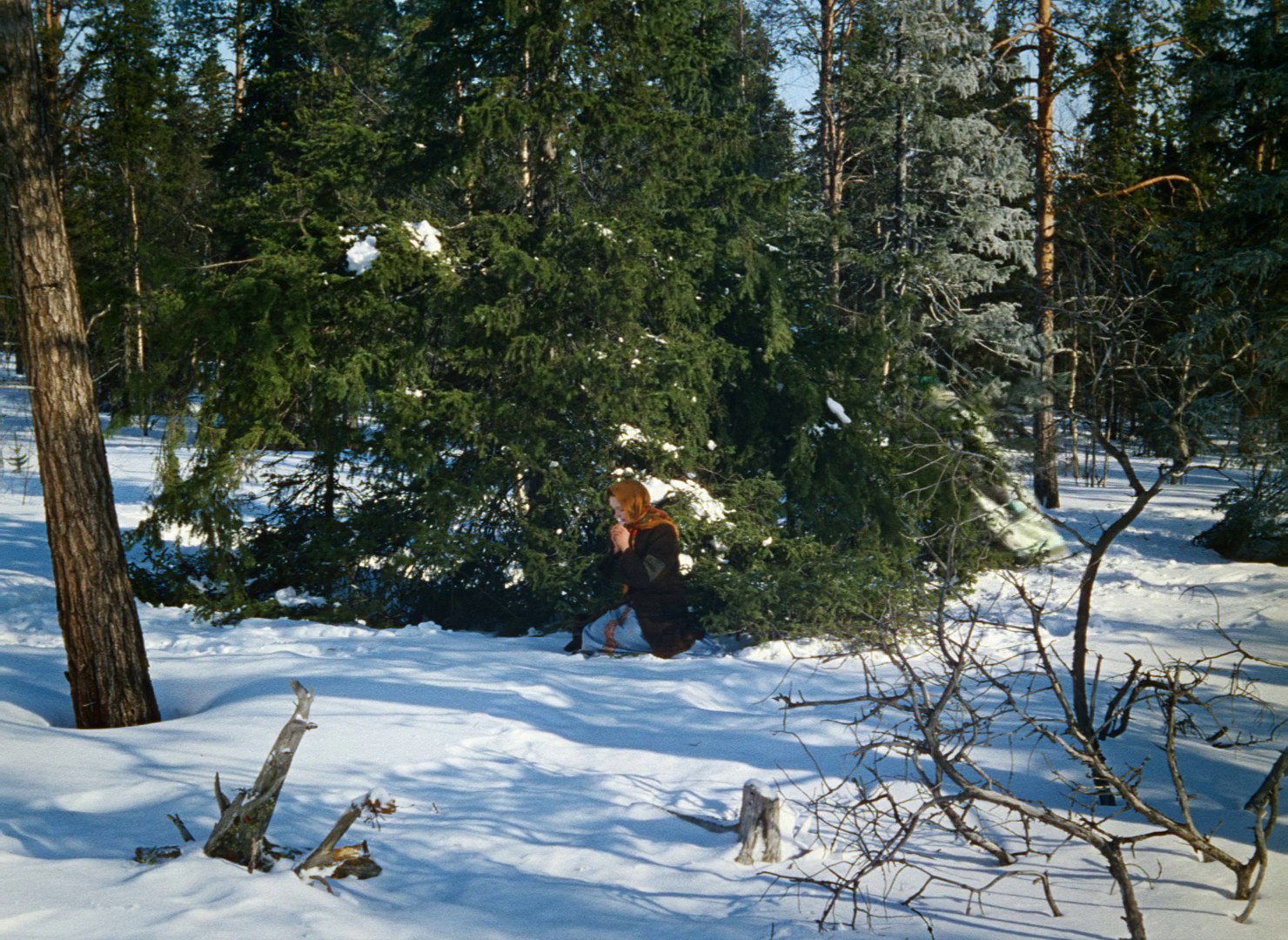 Frosty (1965) —  shot,  lighting