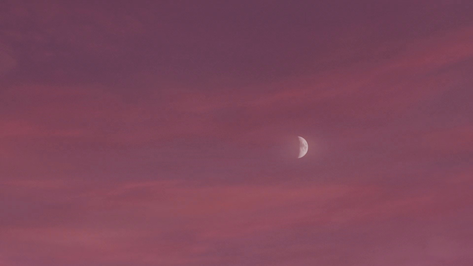 audemars piguet _ Royal Oak Mini (2024) —  shot,  lighting