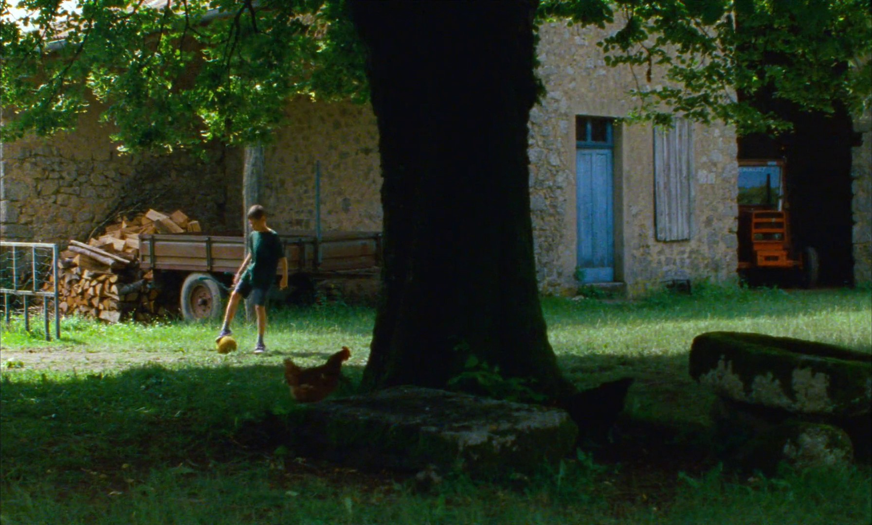 Astrakan (2023) —  shot,  lighting