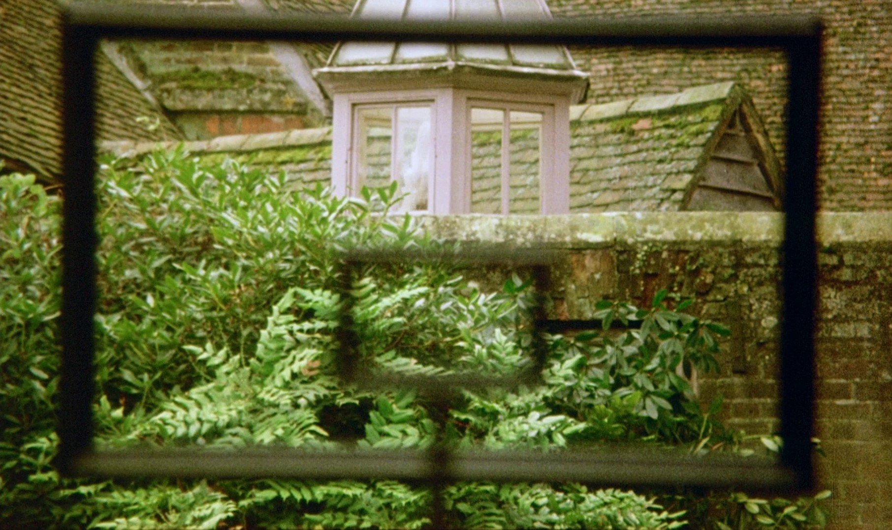 The Draughtsman's Contract (1982) —  shot,  lighting