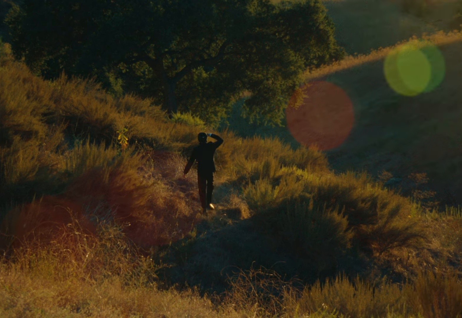 Formalize me (2024) —  shot,  lighting