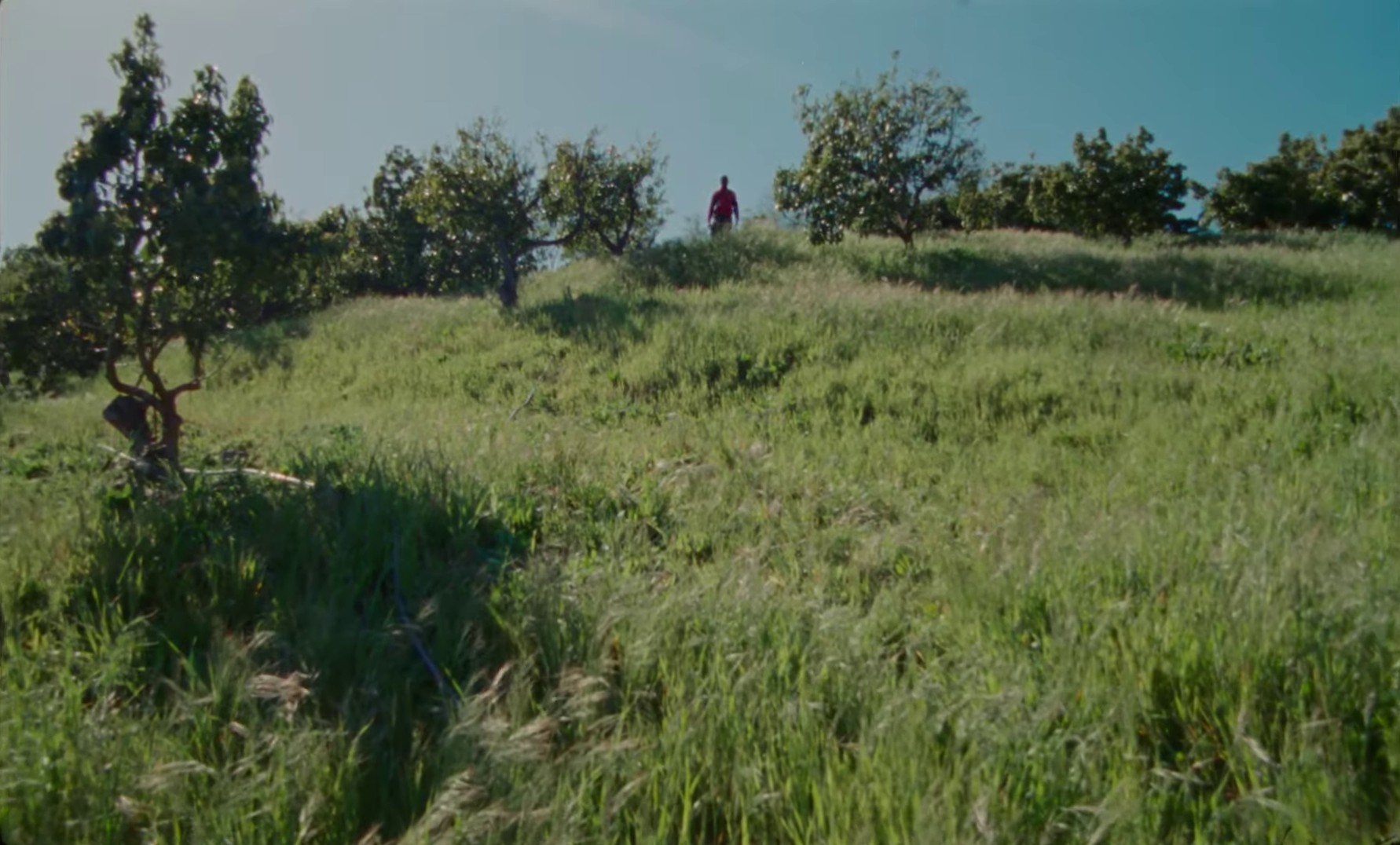 My Day Off (2024) —  shot,  lighting