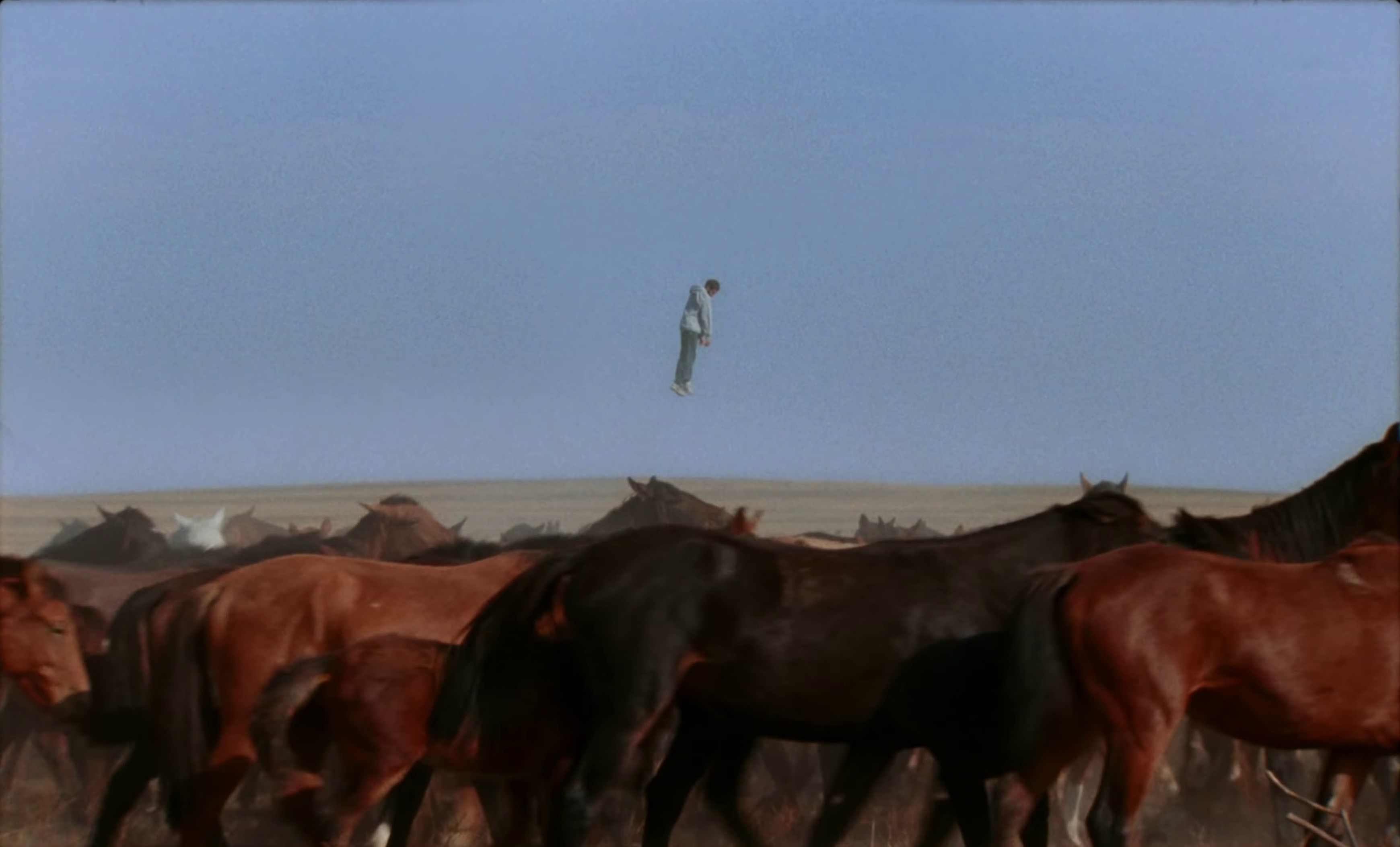 Kill Me (2019) —  shot,  lighting