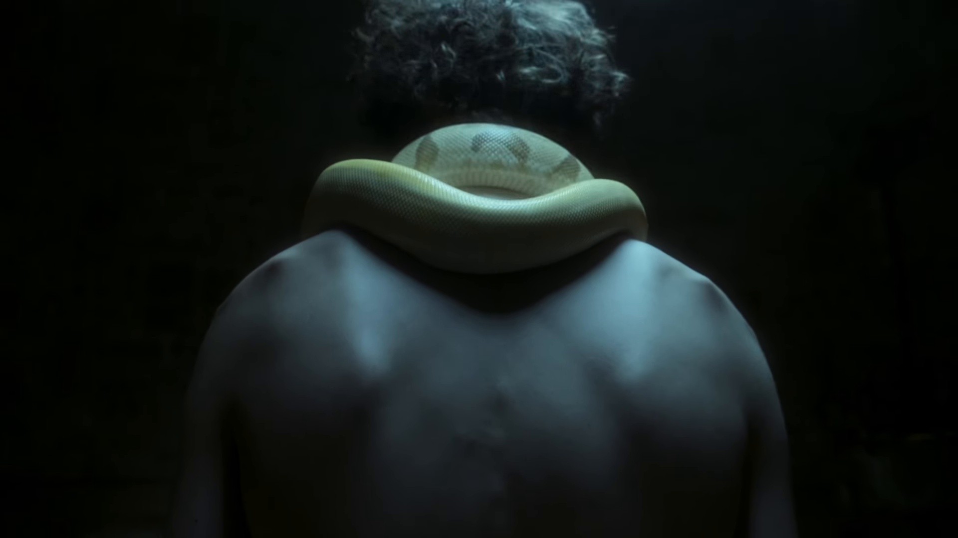 NIGHT PHONE (2025) —  shot,  lighting