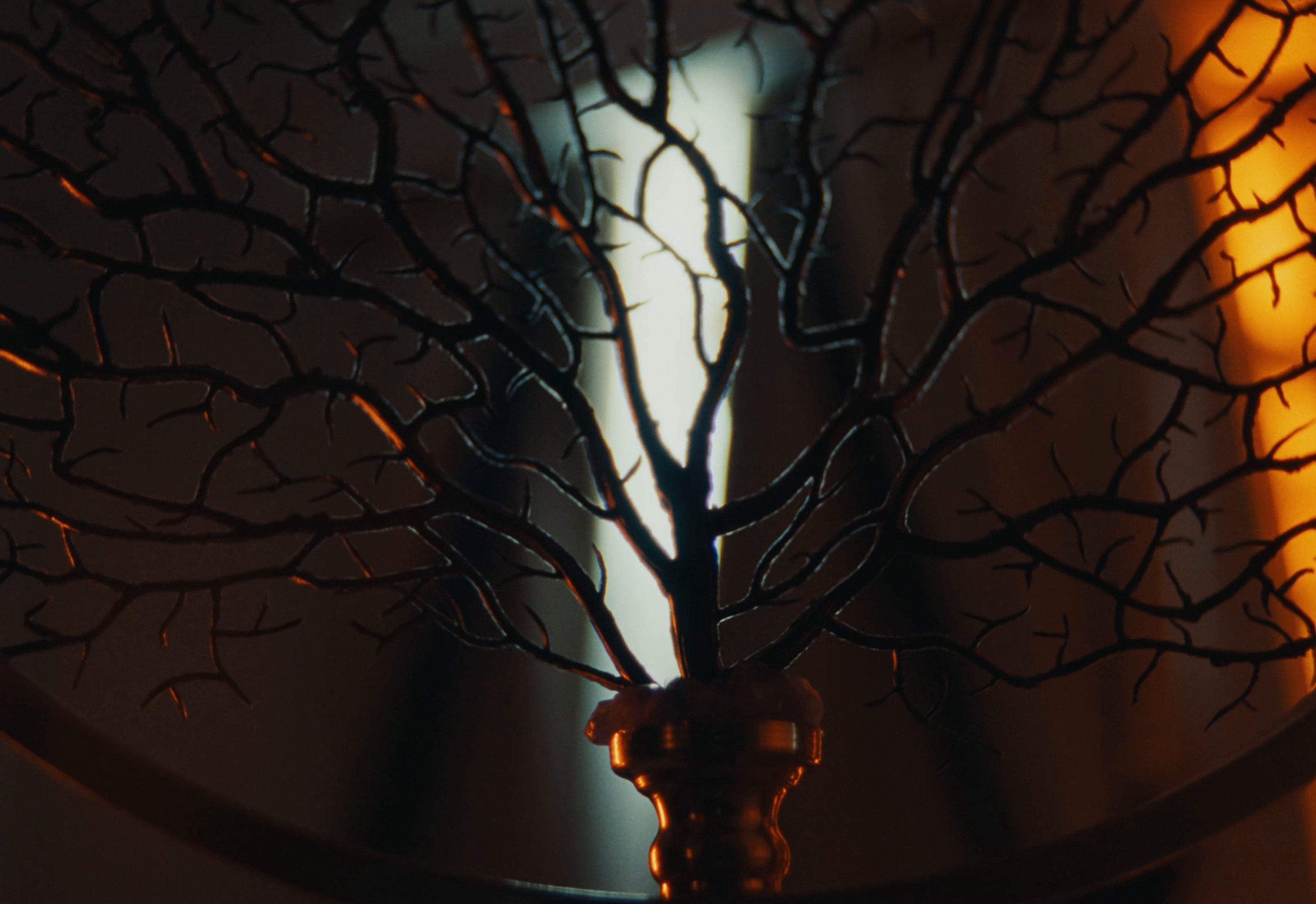 Wawelberg (2024) —  shot,  lighting