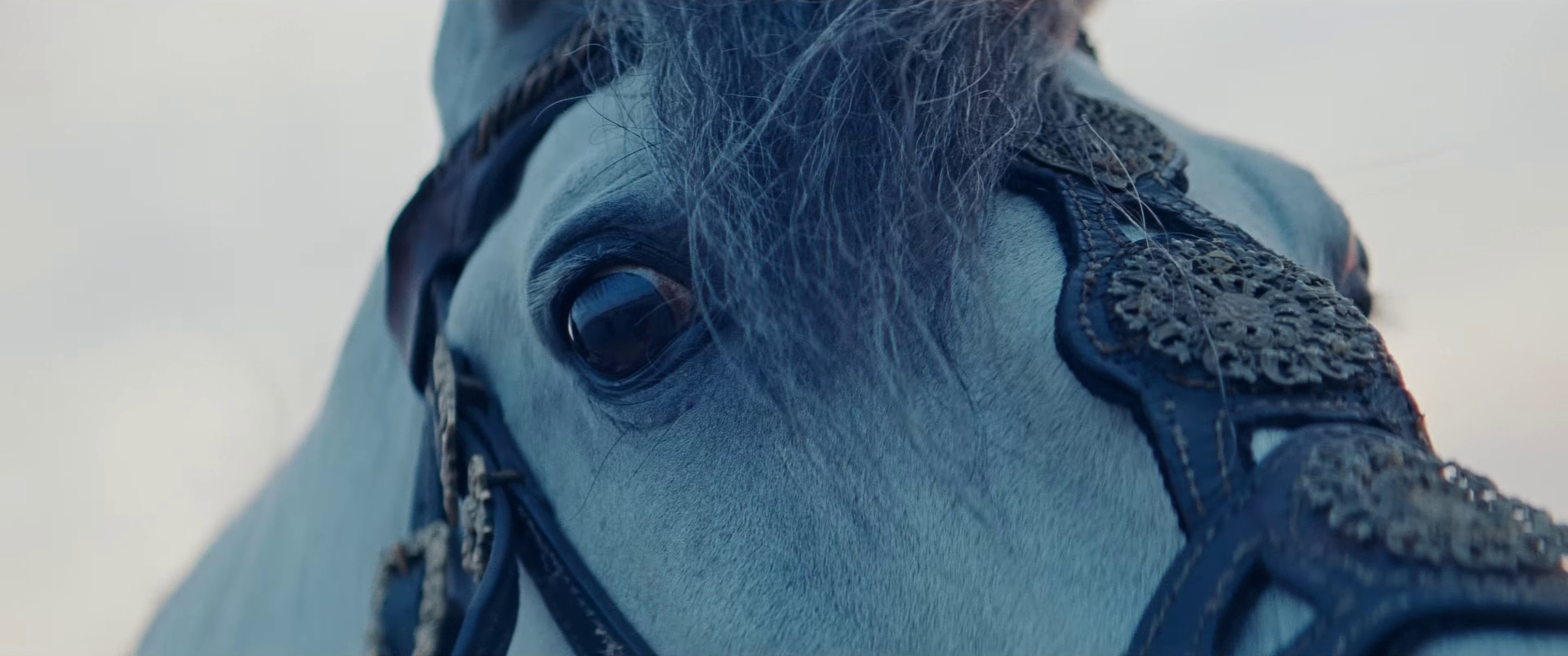 L'espoir (2023) —  shot,  lighting