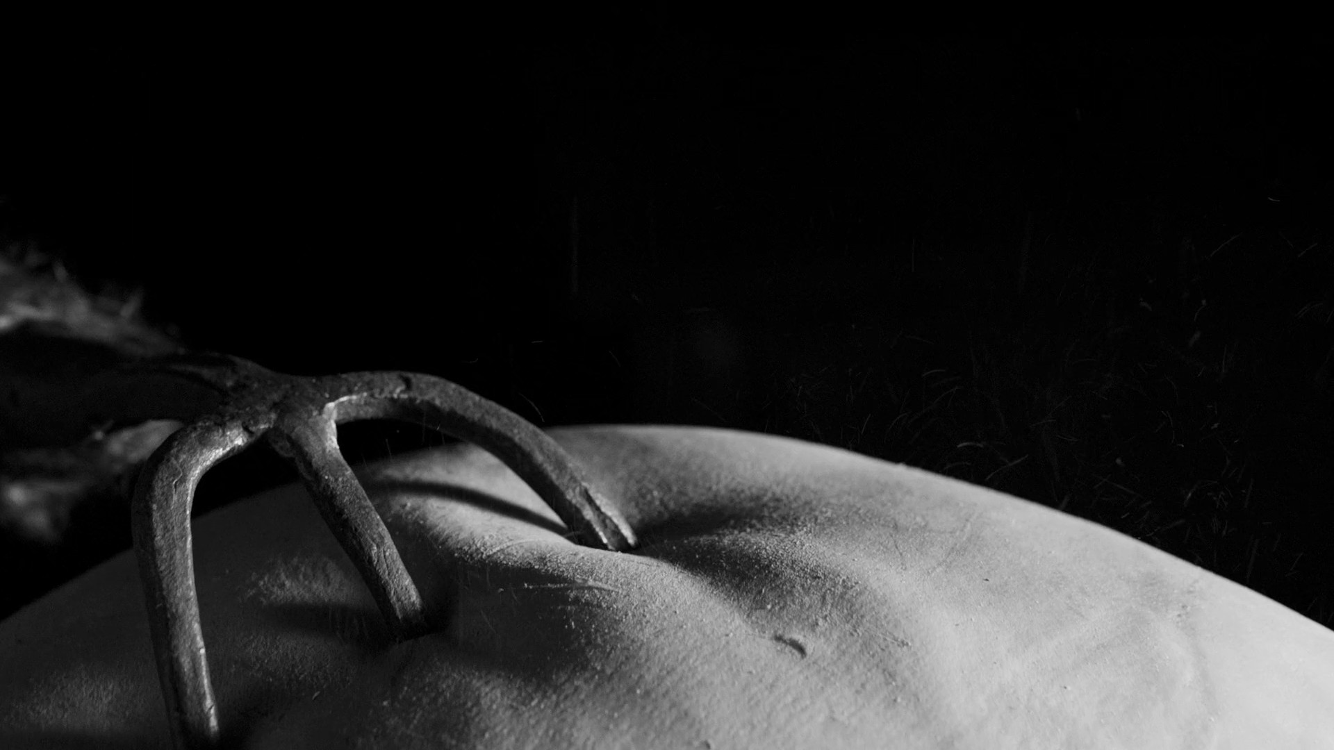 November (2018) —  shot,  lighting